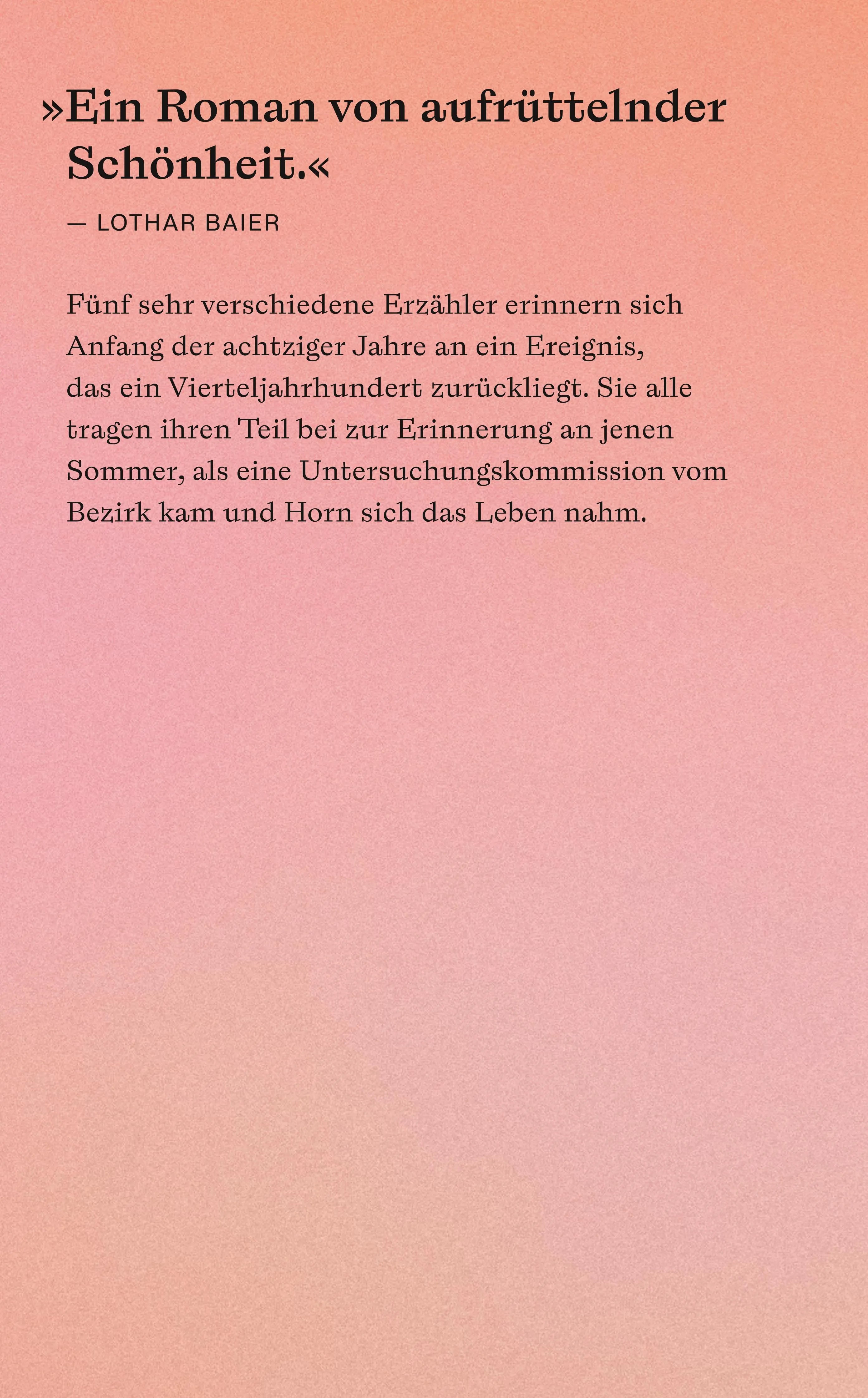Buchrückseite von 'Horns Ende' mit Klappentext - Taschenbuch
