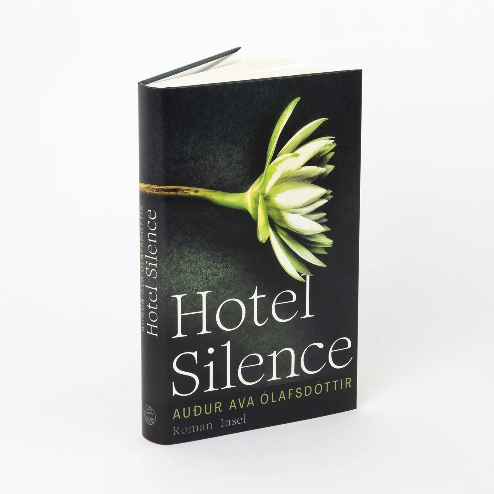 Produktansicht: Hotel Silence (Gebundene Ausgabe)