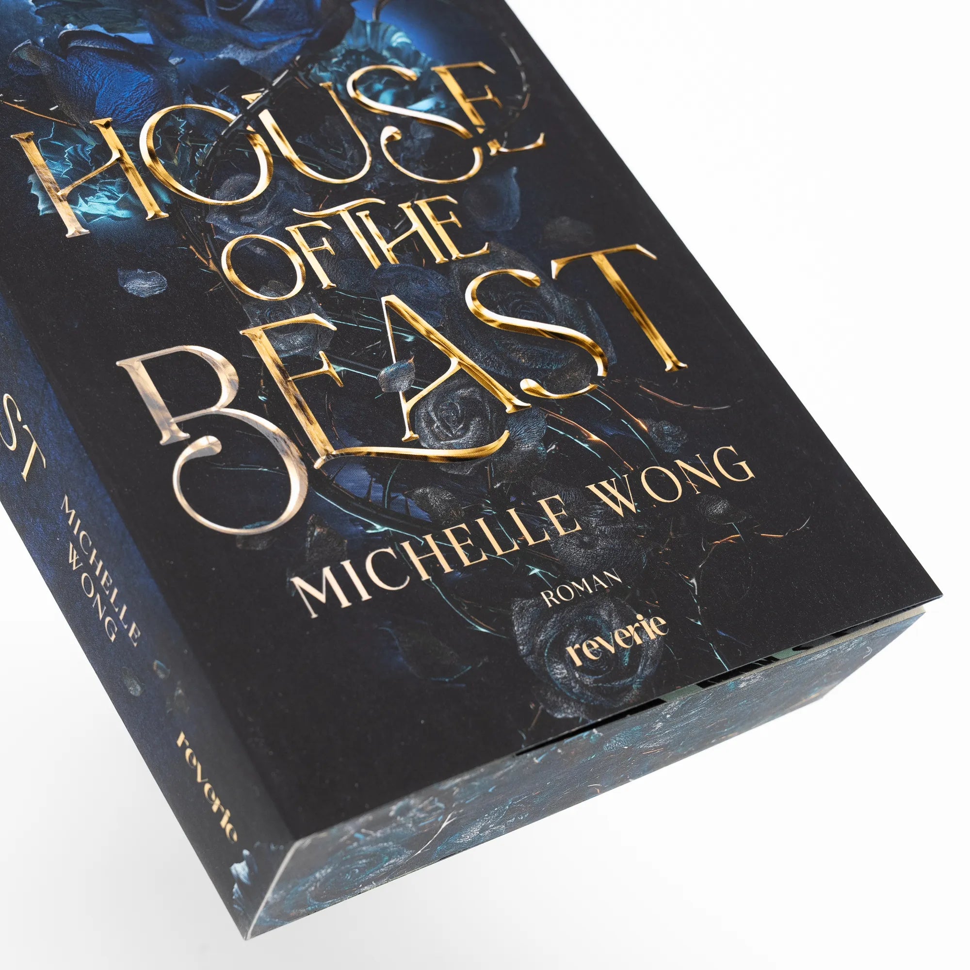 Abbildung von 'House of the Beast'