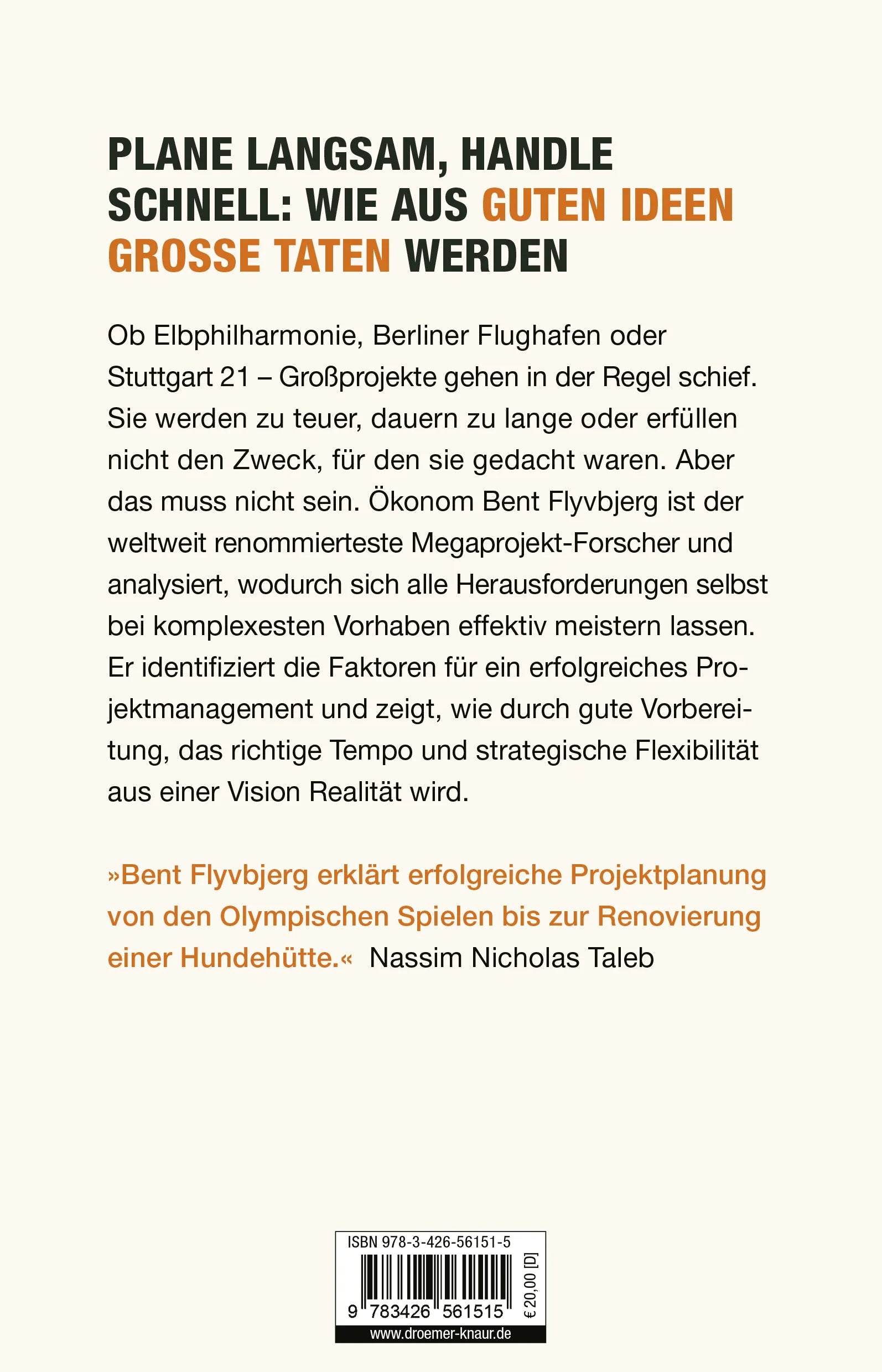 Buchrückseite von 'How Big Things Get Done' mit Klappentext - Paperback