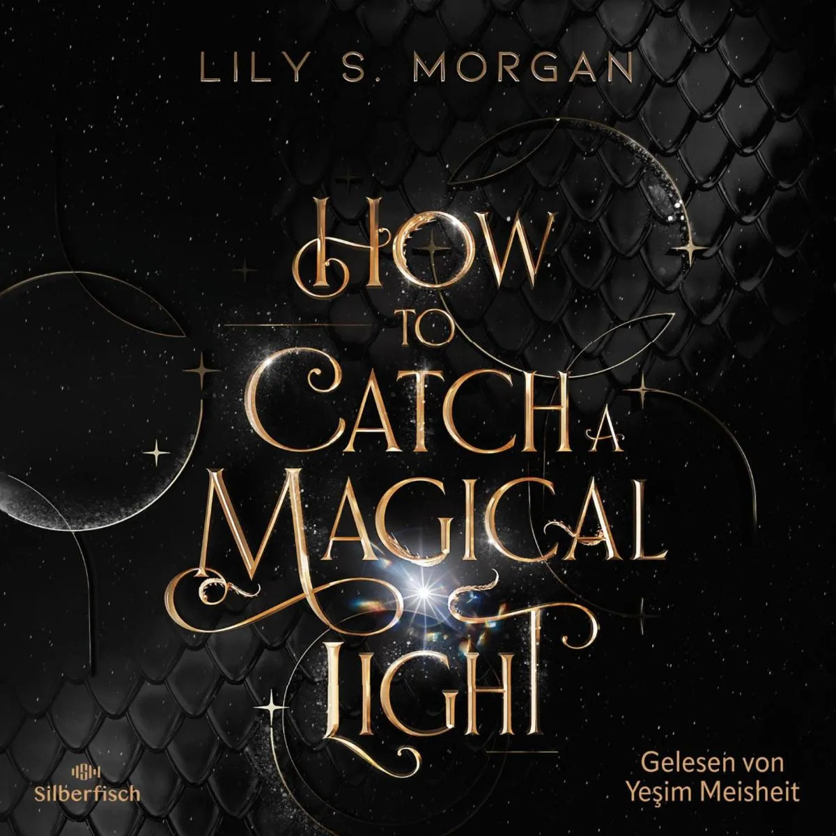 Cover: How to catch a magical Light (Hörbuch Download) von Lily S. Morgan