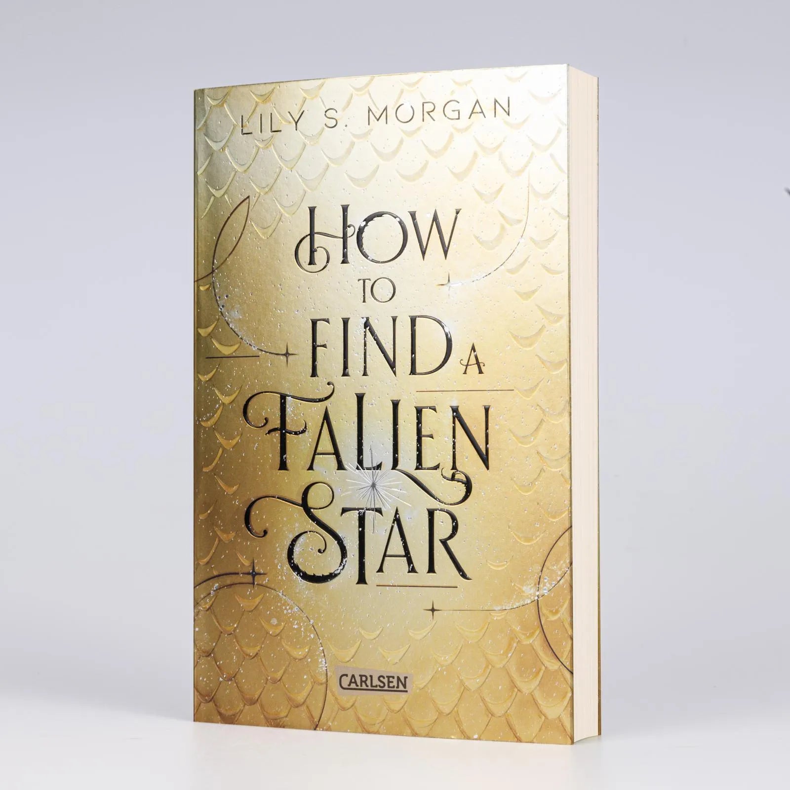 Detailansicht: How To Find A Fallen Star (Paperback)