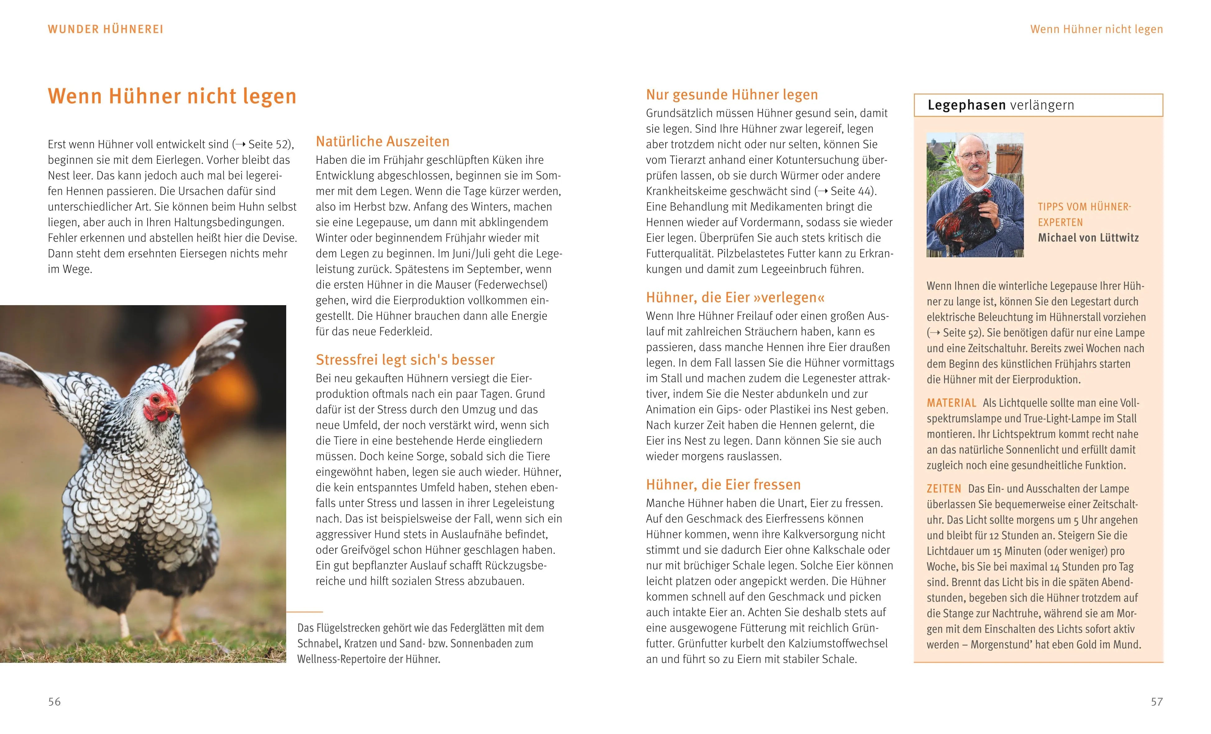 Produktansicht: Hühner halten (Taschenbuch)