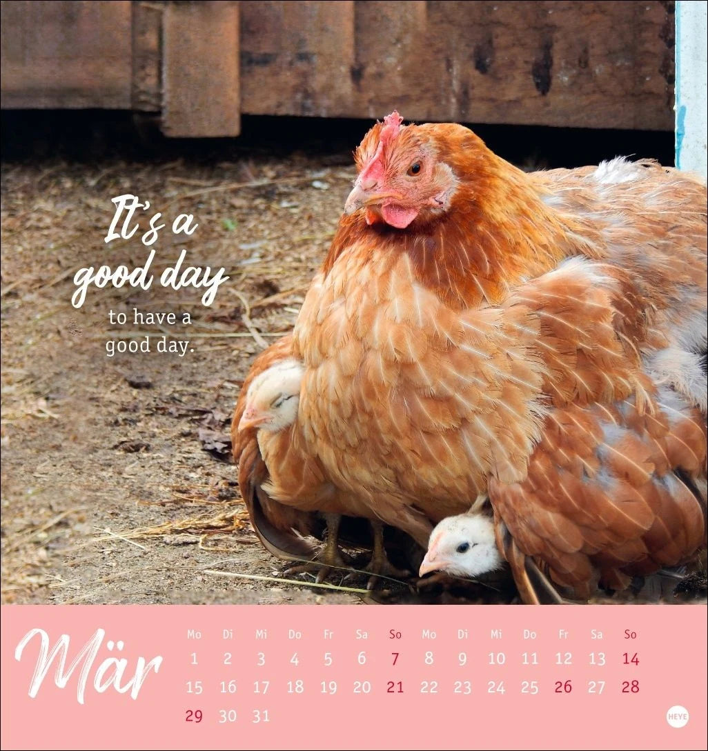 Hühner Postkartenkalender 2027 - Ach, du verrücktes Huhn! – Ansicht