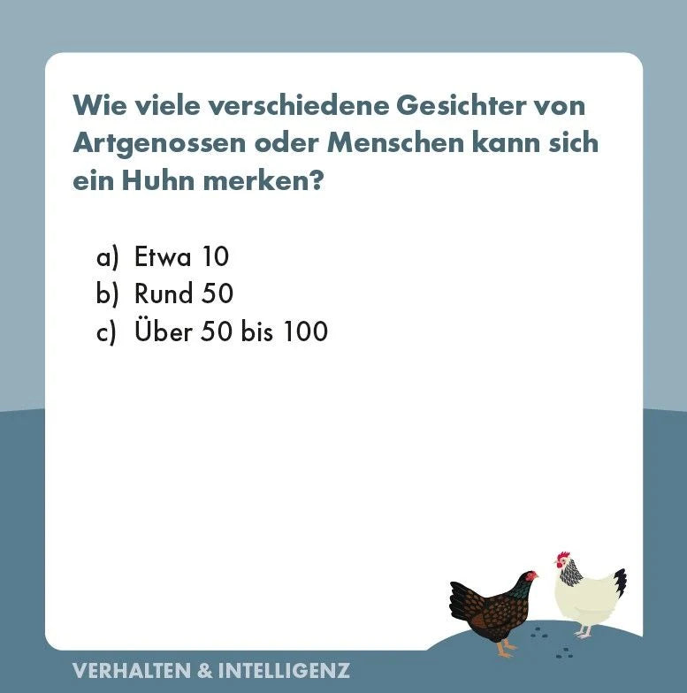 Hühner-Quiz – Ansicht