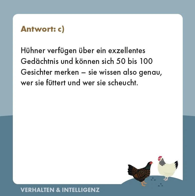 Hühner-Quiz – Ansicht