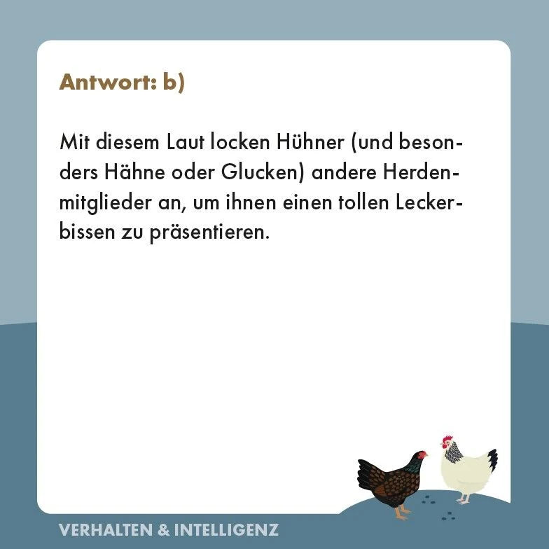 Hühner-Quiz – Ansicht