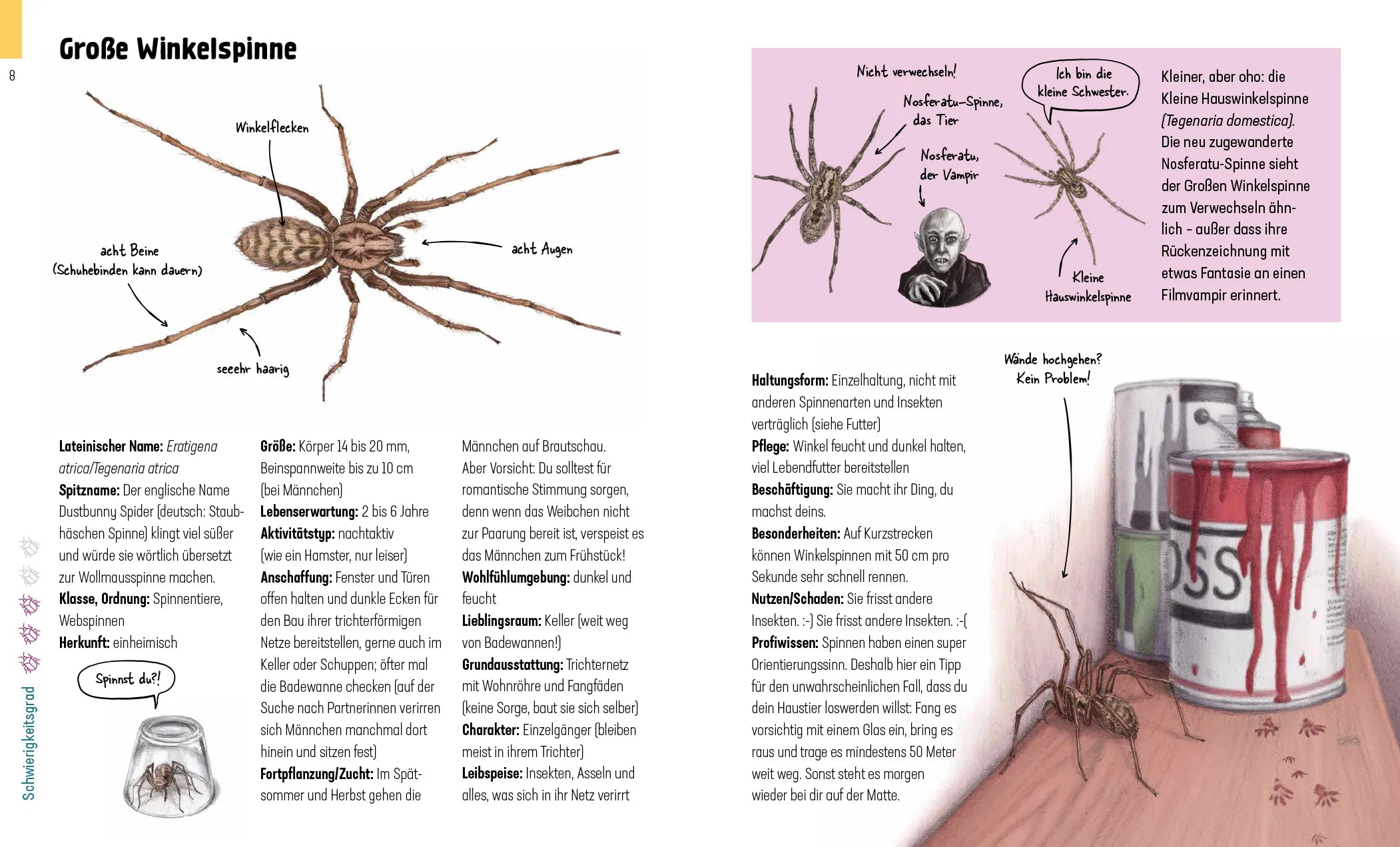 Produktansicht: Hui, Spinne! Haustierchen halten für Anfänger (Gebundene Ausgabe)