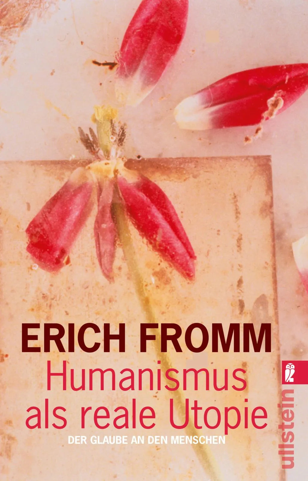 Buchcover von 'Humanismus als reale Utopie' - Taschenbuch von Erich Fromm