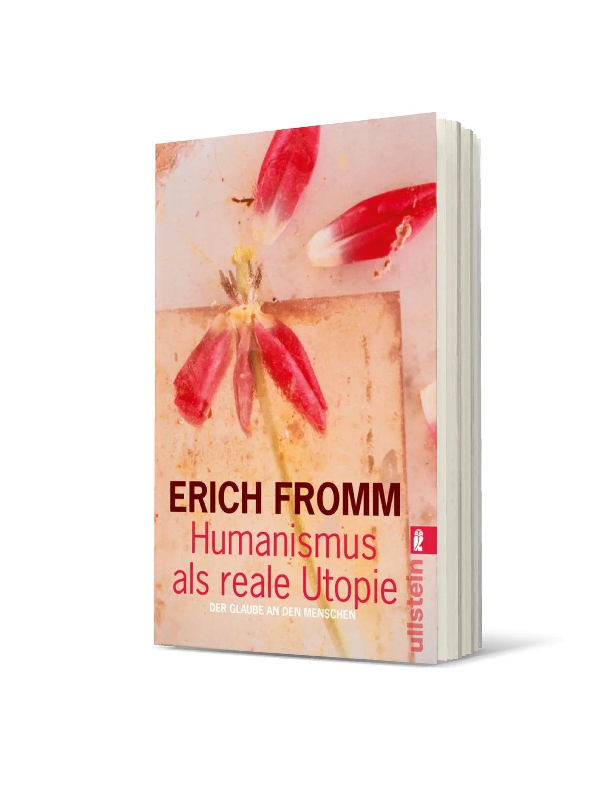Produktansicht: Humanismus als reale Utopie (Taschenbuch)