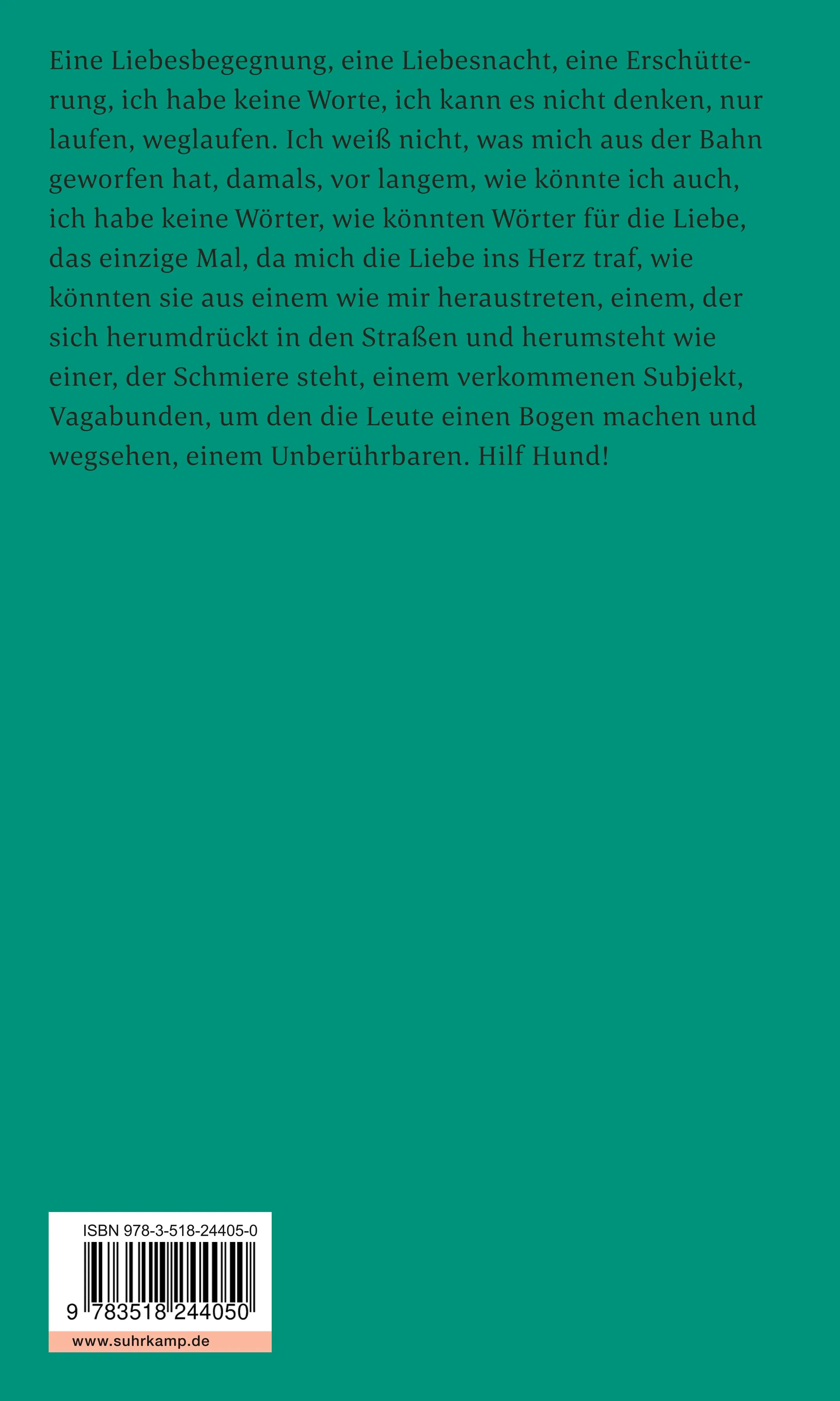 Buchrückseite von 'Hund. Beichte am Mittag' mit Klappentext - Taschenbuch
