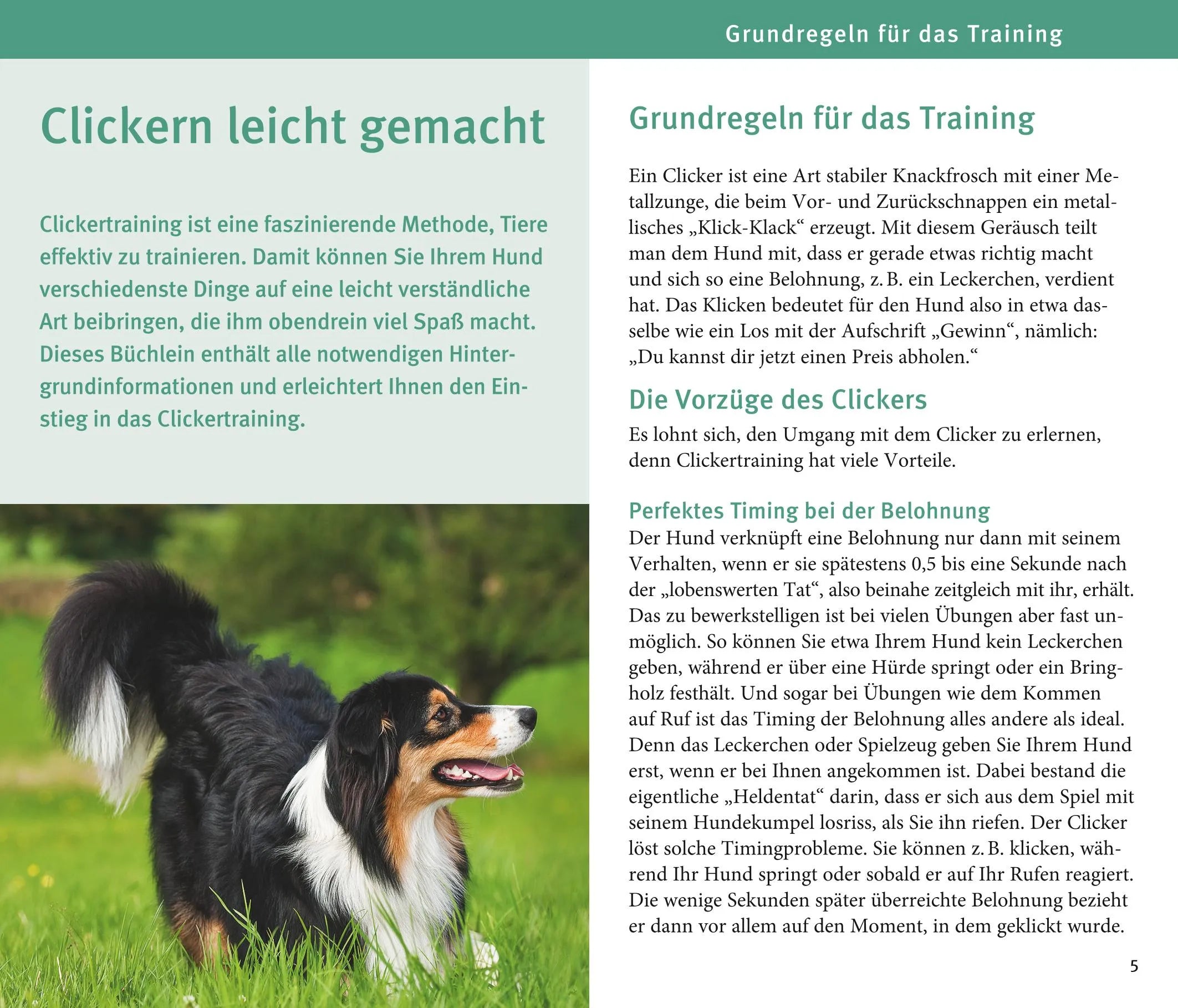 Innenansicht von 'Hunde-Clicker-Box' - Gebundene Ausgabe