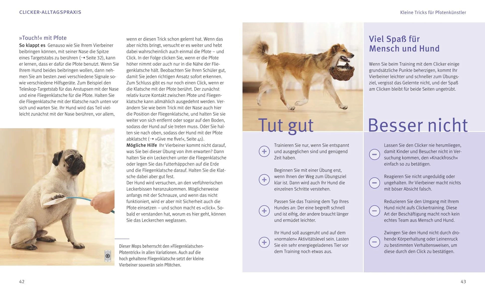 Abbildung von 'Hunde-Clickertraining'