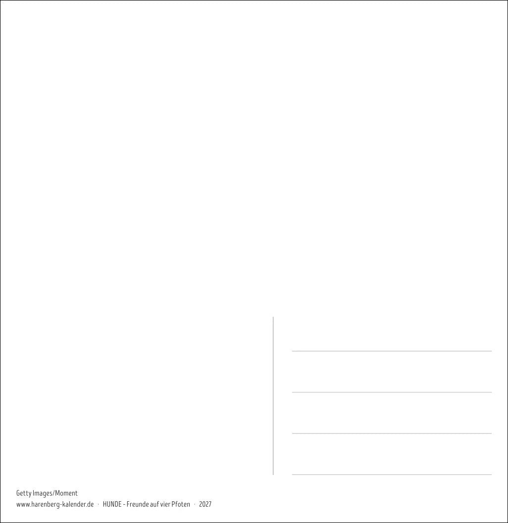 Hunde Premium-Postkartenkalender 2027 - Freunde auf vier Pfoten; Kalender mit 53 Postkarten – Ansicht