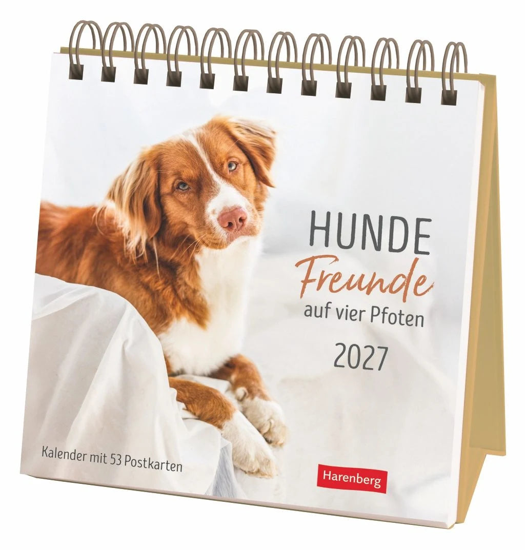 Postkartenkalender: Hunde Premium-Postkartenkalender 2027 - Freunde auf vier Pfoten; Kalender mit 53 Postkarten