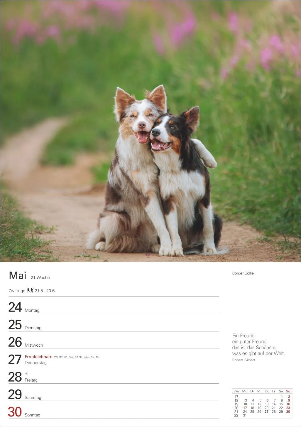 Hunde Wochenplaner 2027 - 53 faszinierende Fotografien – Ansicht