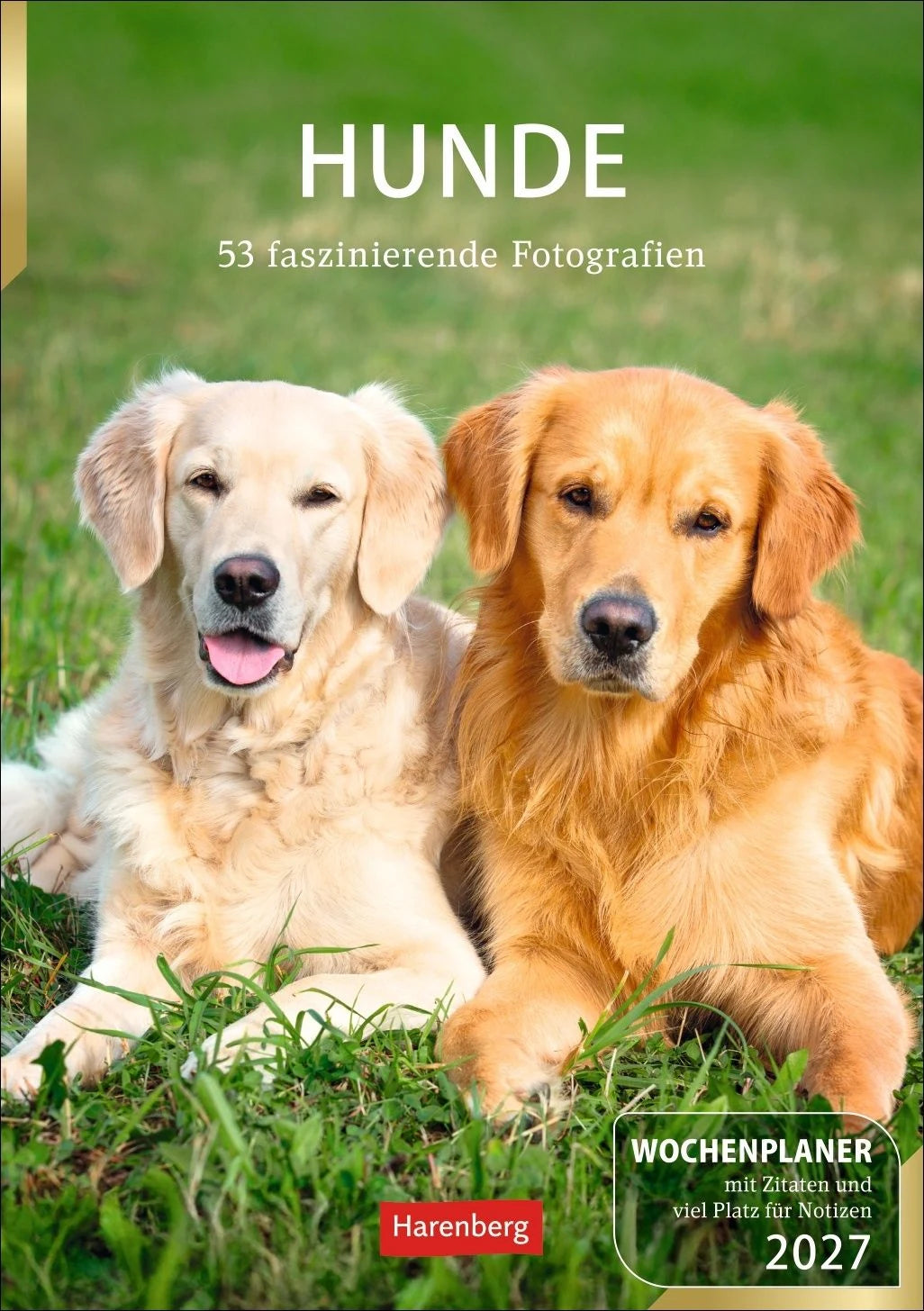 Taschenkalender: Hunde Wochenplaner 2027 - 53 faszinierende Fotografien