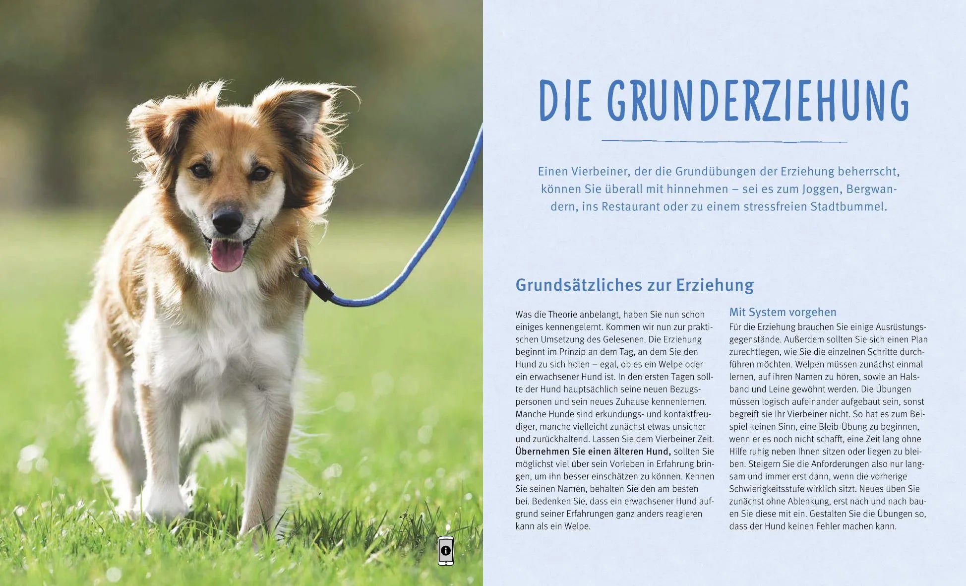 Produktansicht: Hundeerziehung (Taschenbuch)