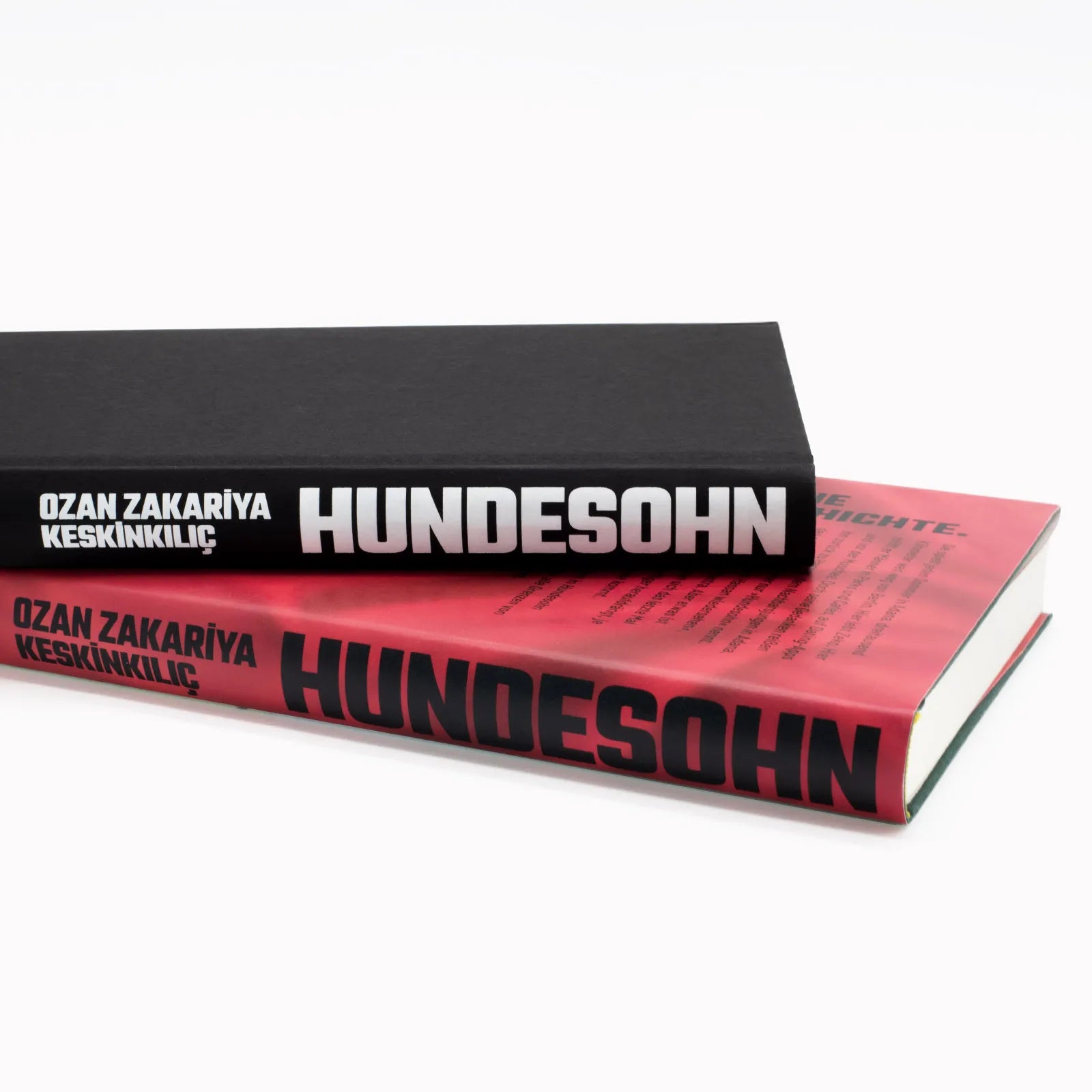 Detailansicht: Hundesohn (Hardcover)