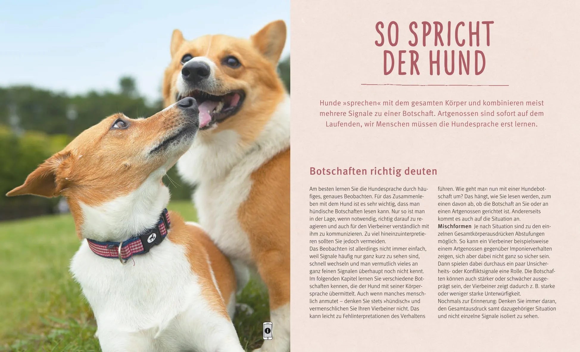 Produktansicht: Hundesprache (Taschenbuch)