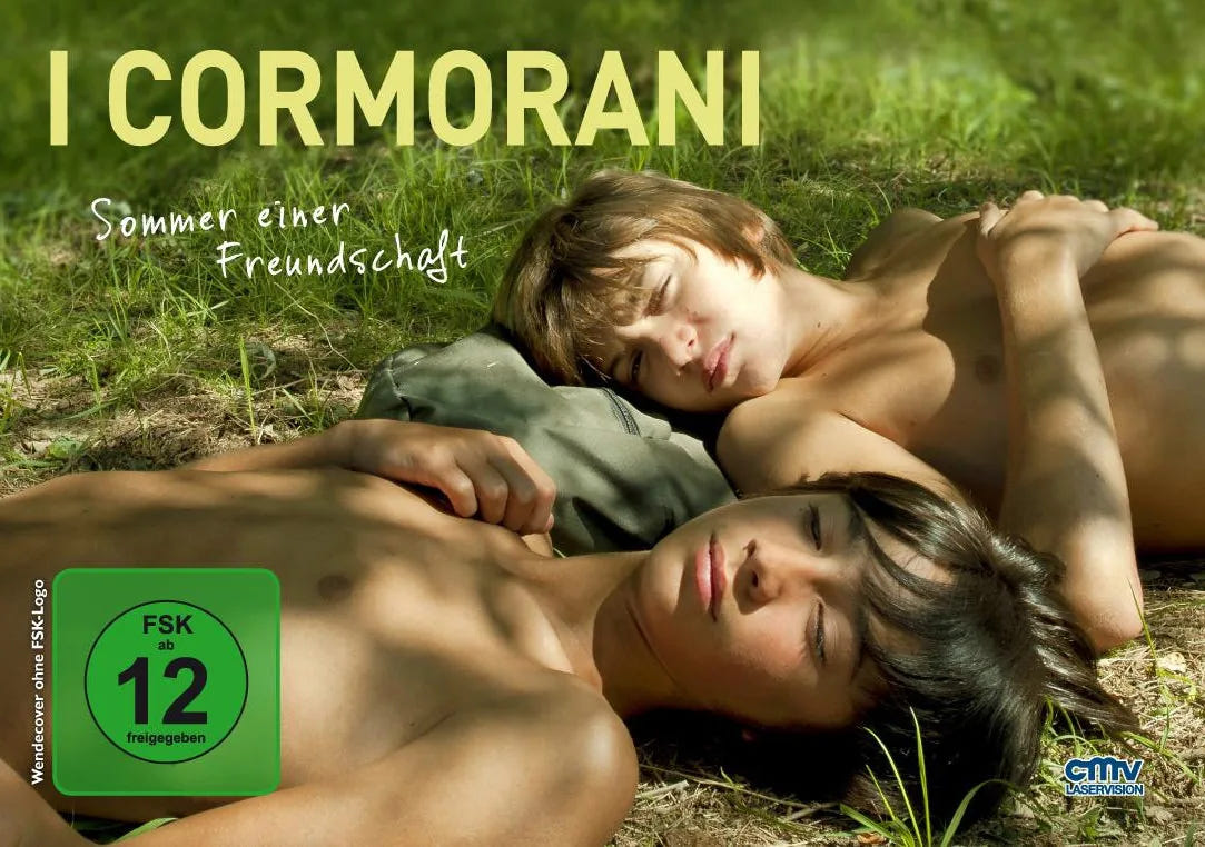 I cormorani - Sommer einer Freundschaft - DVD