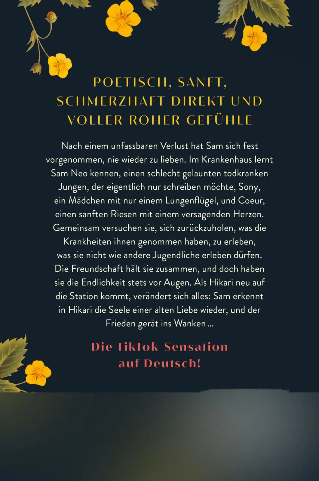 Rückseite: i fell in love with hope (Paperback)