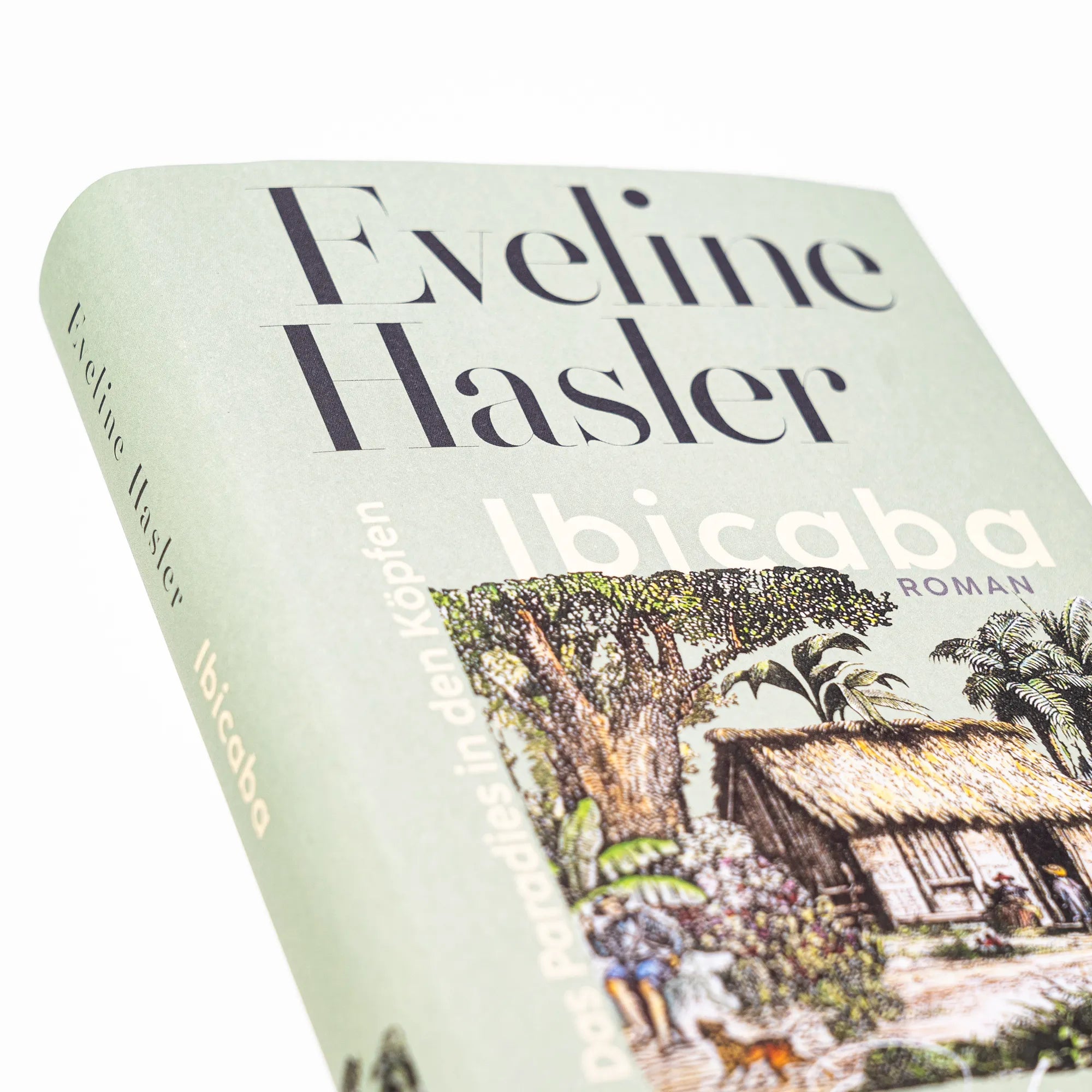 Detailansicht: Ibicaba (Hardcover)