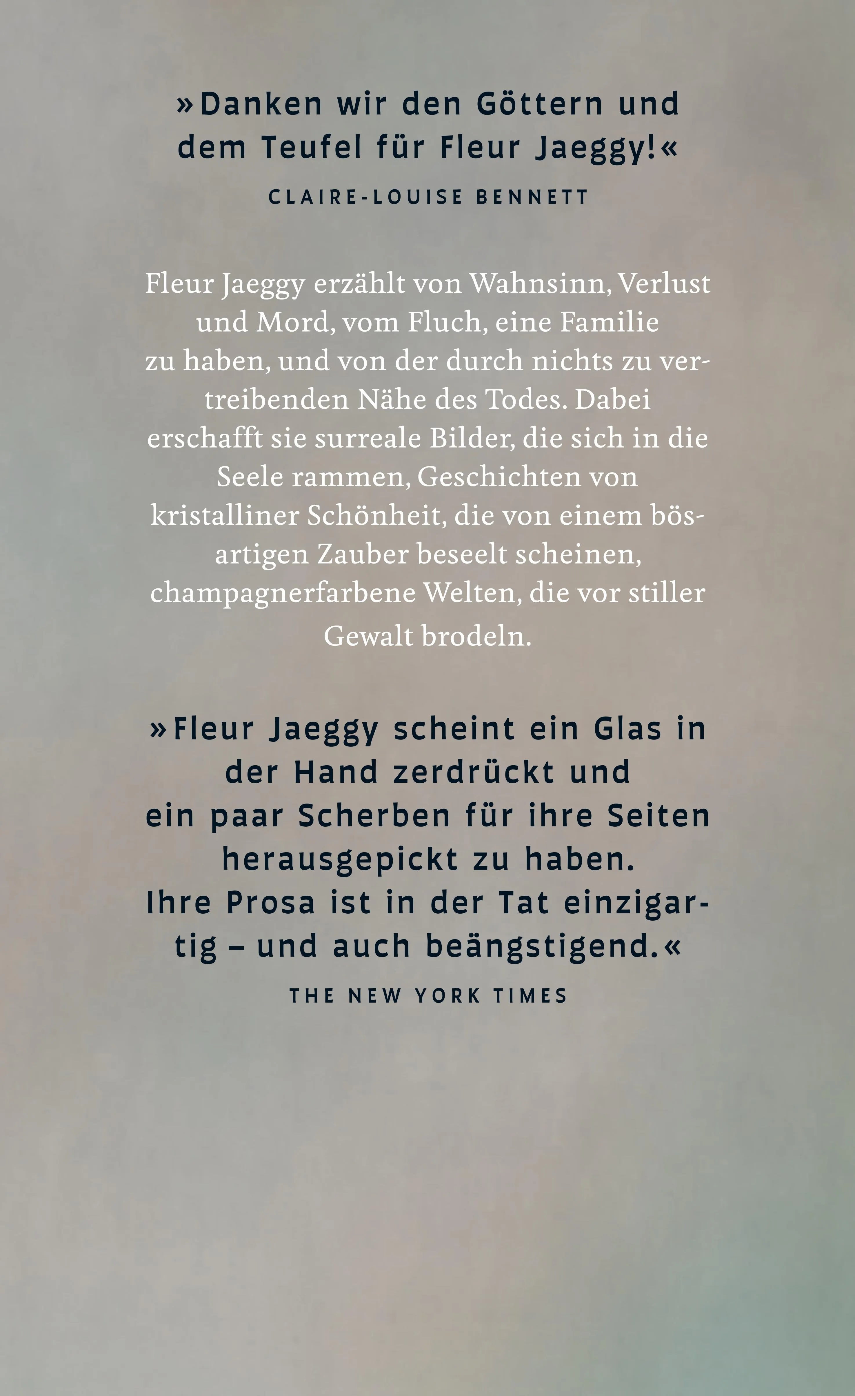 Buchrückseite von 'Ich bin der Bruder von XX' mit Klappentext - Gebundene Ausgabe