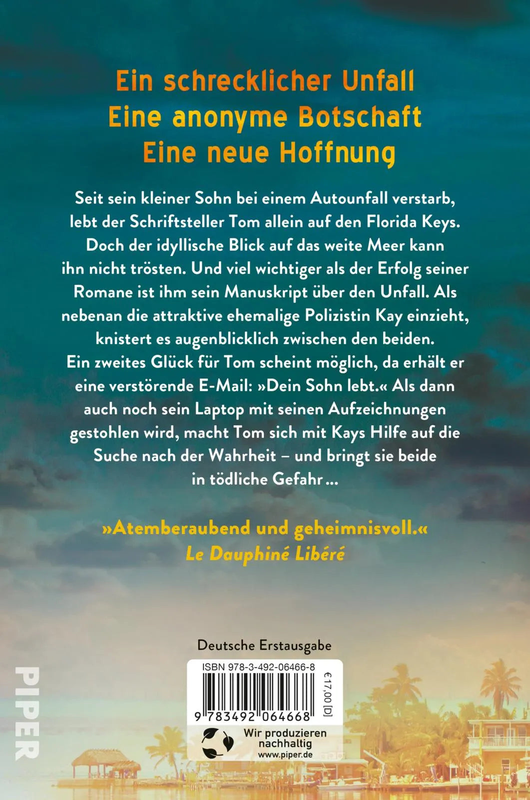 Buchrückseite von 'Ich finde dich wieder' mit Klappentext - Paperback