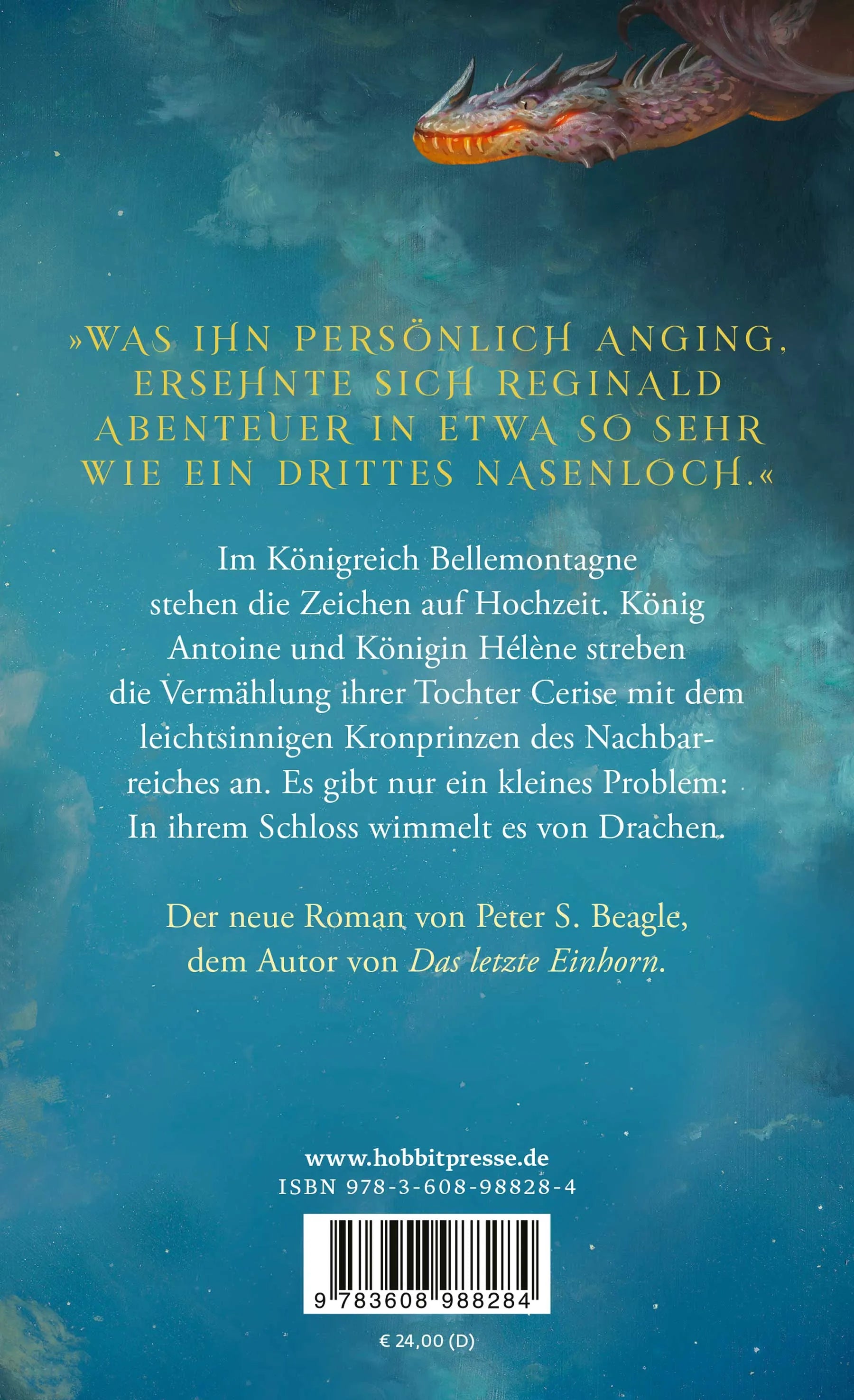 Buchrückseite von 'Ich fürchte, Ihr habt Drachen' mit Klappentext - Gebundene Ausgabe
