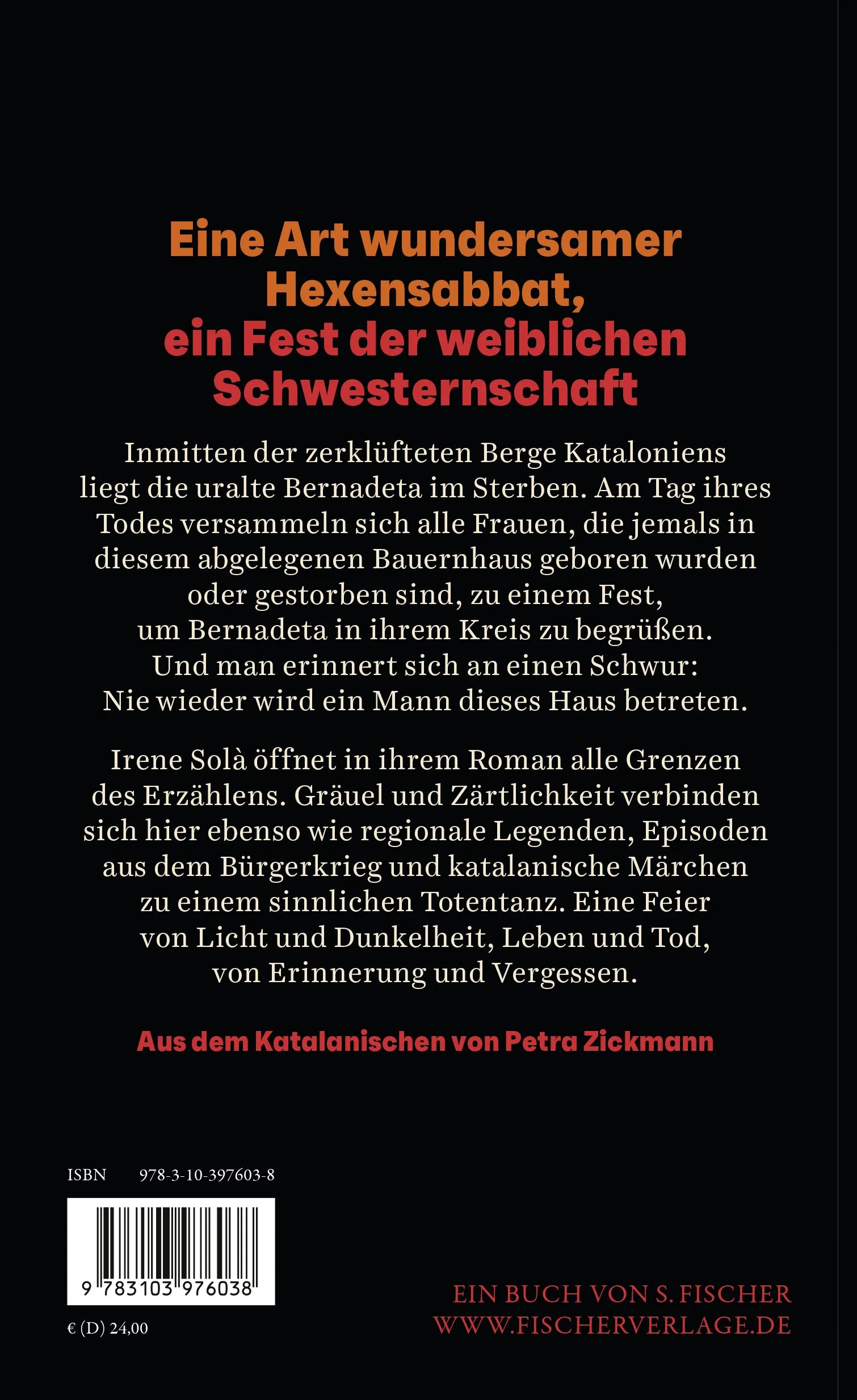 Buchrückseite von 'Ich gab dir Augen, und du blicktest in die Finsternis' mit Klappentext - Gebundene Ausgabe