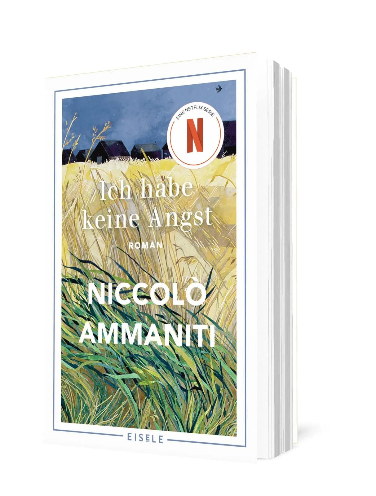 Detailansicht: Ich habe keine Angst (Taschenbuch)