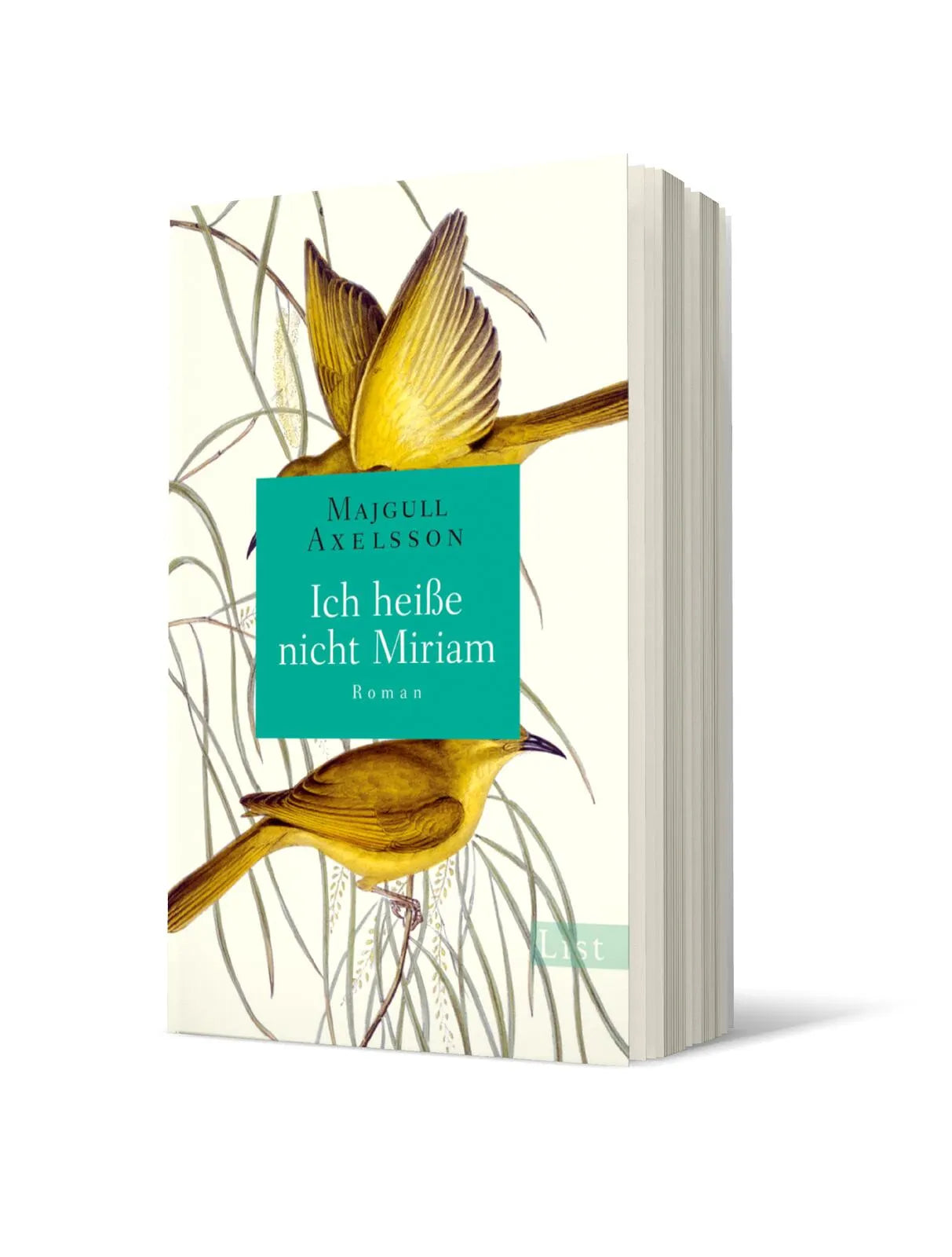 Produktansicht: Ich heiße nicht Miriam (Taschenbuch)