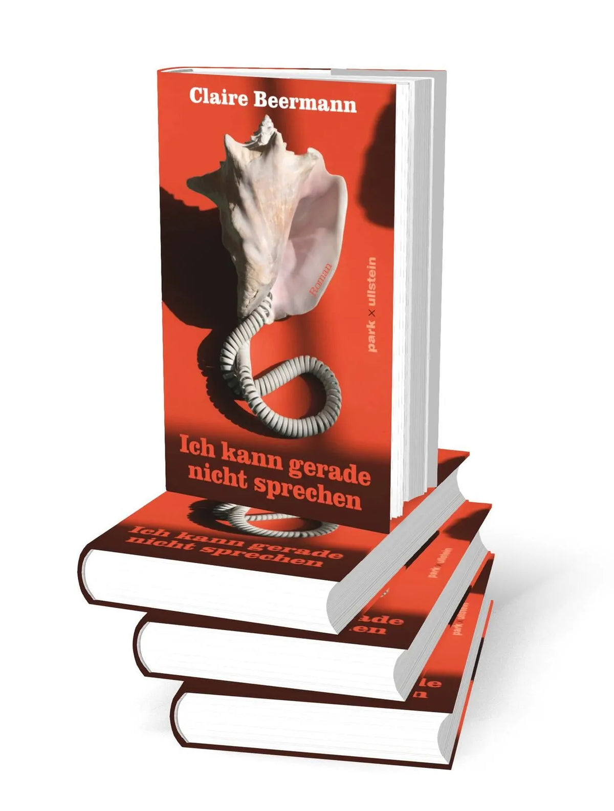 Detailansicht: Ich kann gerade nicht sprechen (Hardcover)