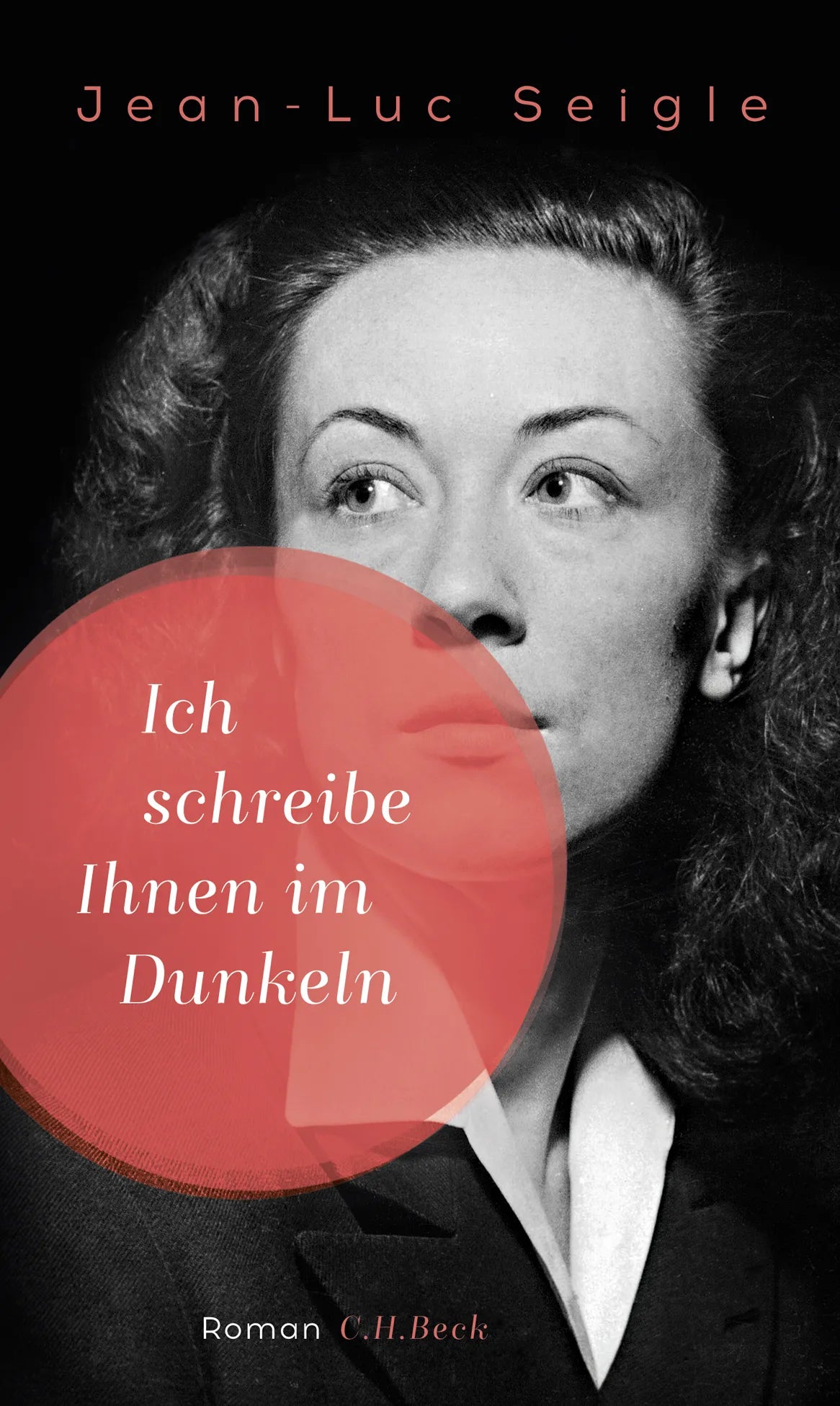 Buchcover von 'Ich schreibe Ihnen im Dunkeln' - Gebundene Ausgabe von Jean-Luc Seigle