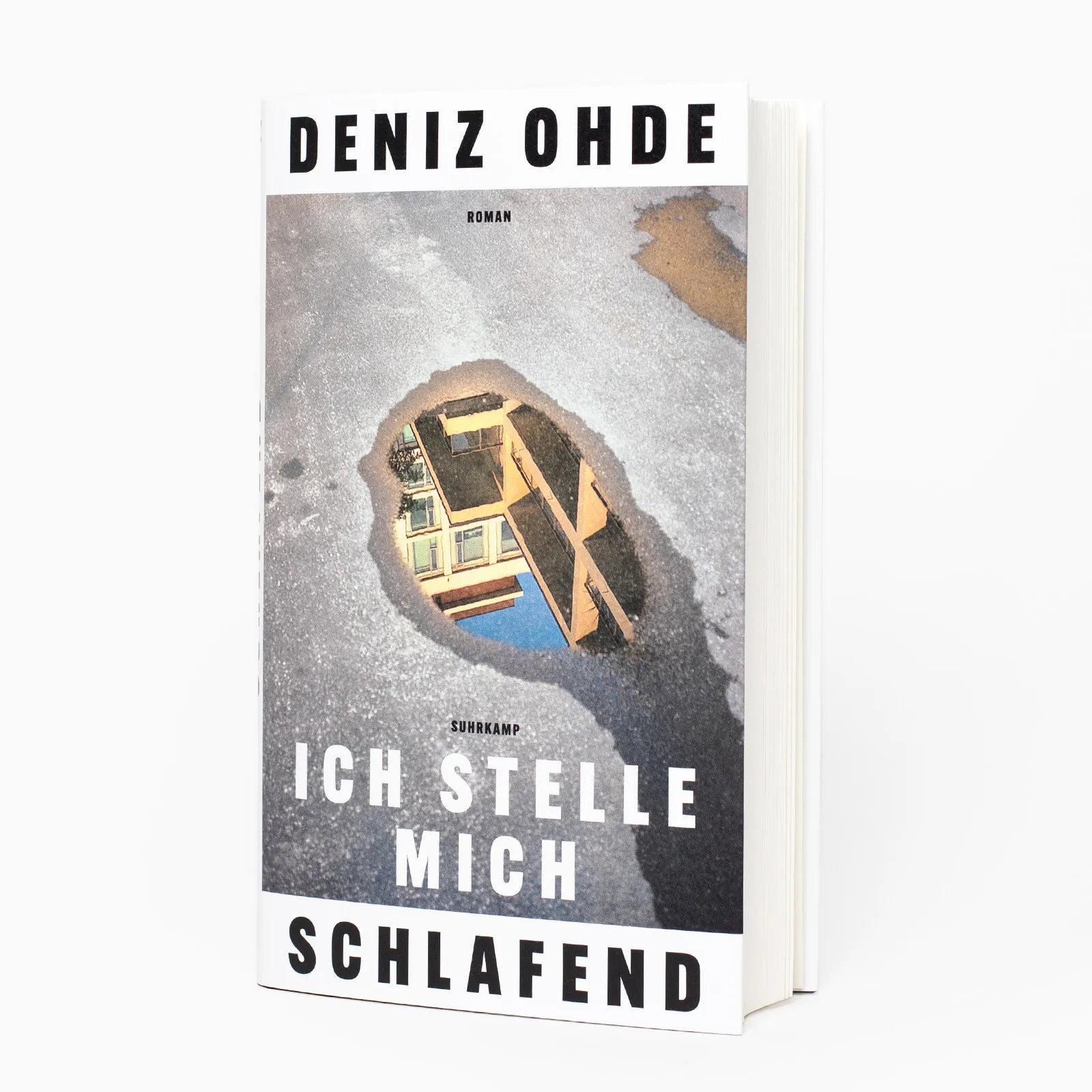 Produktansicht: Ich stelle mich schlafend (Gebundene Ausgabe)