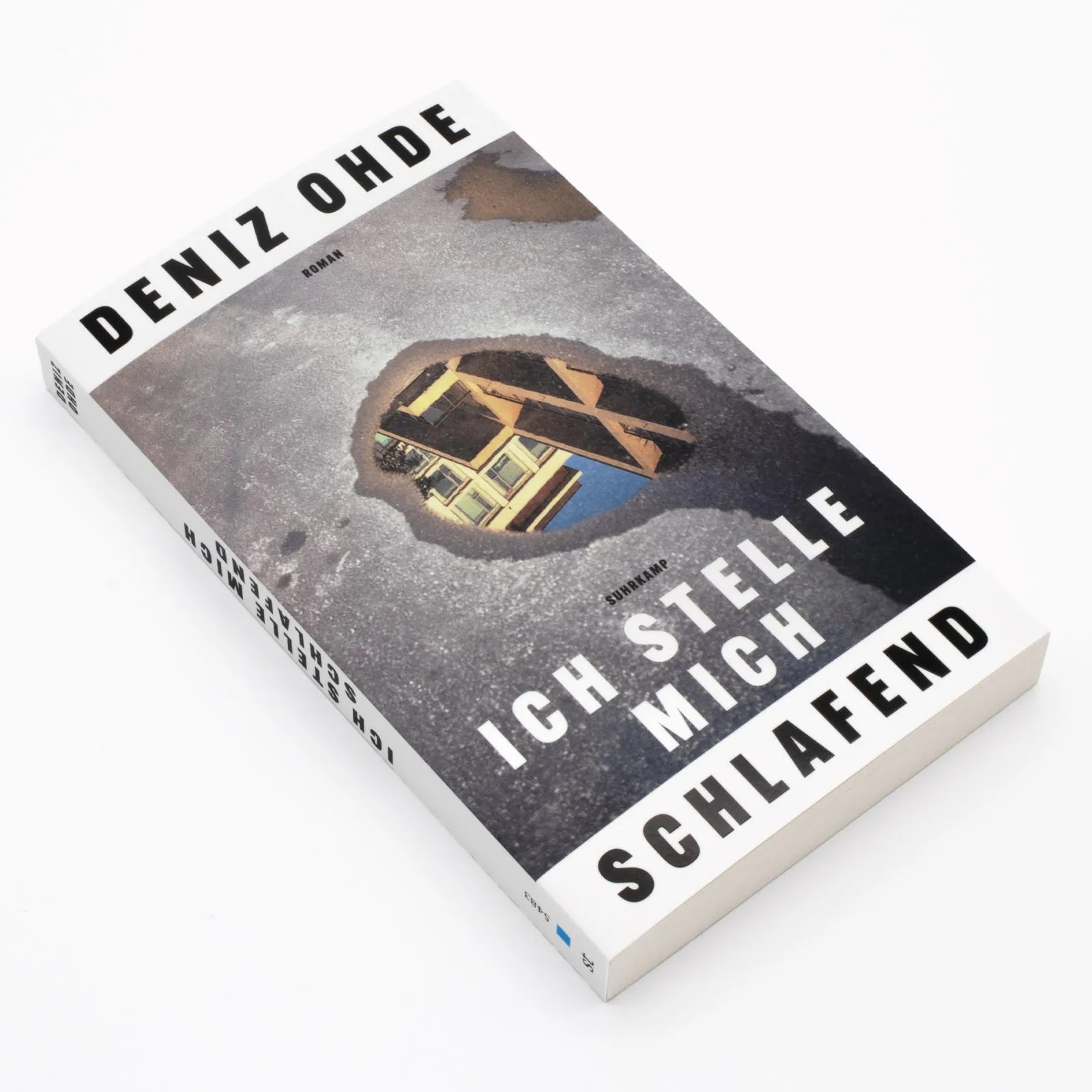 Produktansicht: Ich stelle mich schlafend (Taschenbuch)