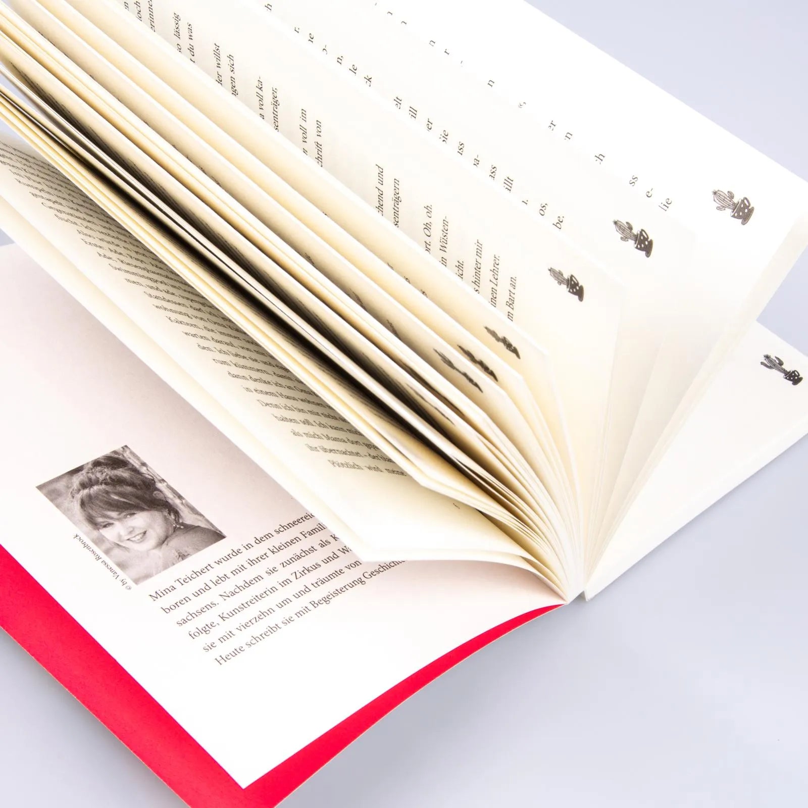 Produktansicht: Ich wollt, ich wär ein Kaktus (Taschenbuch)
