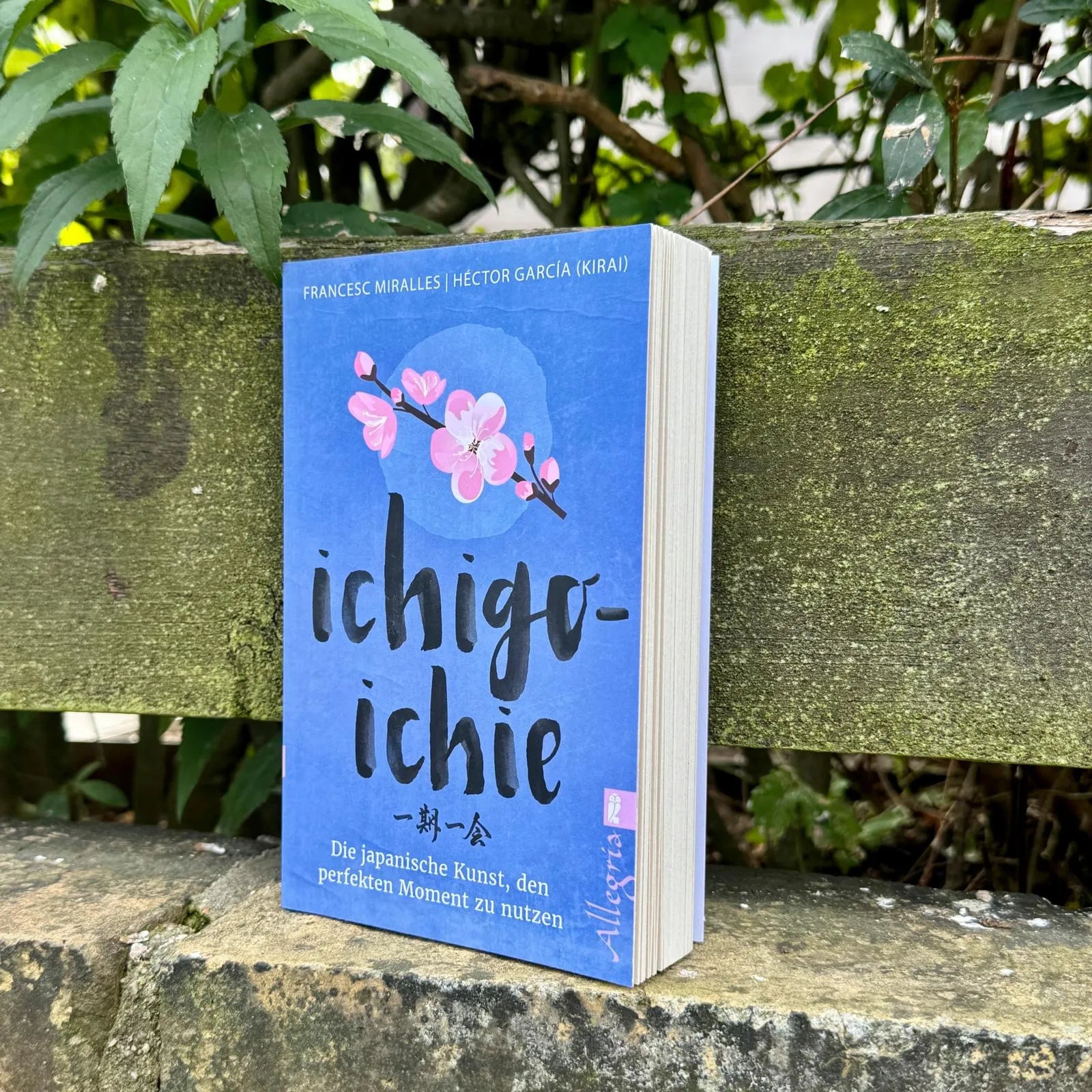Detailansicht: Ichigo-ichie (Taschenbuch)