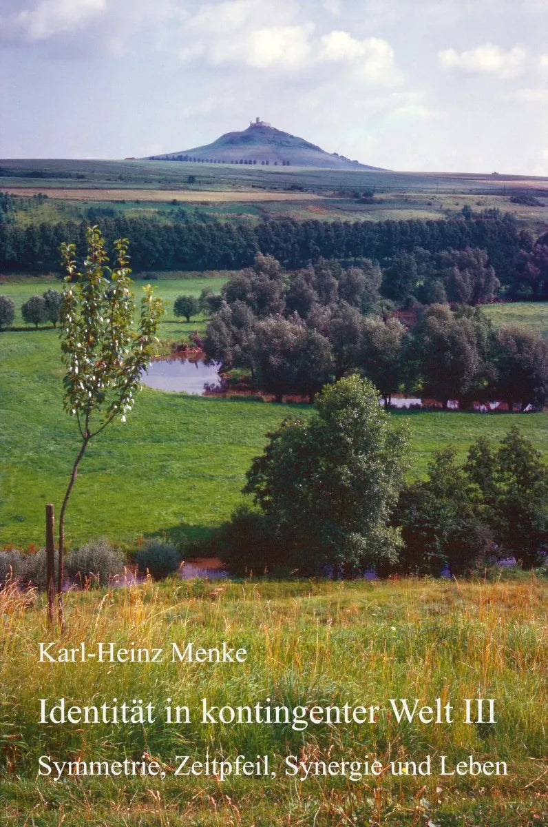 Cover: Identität in kontingenter Welt III (E-Book) von Karl-Heinz Menke