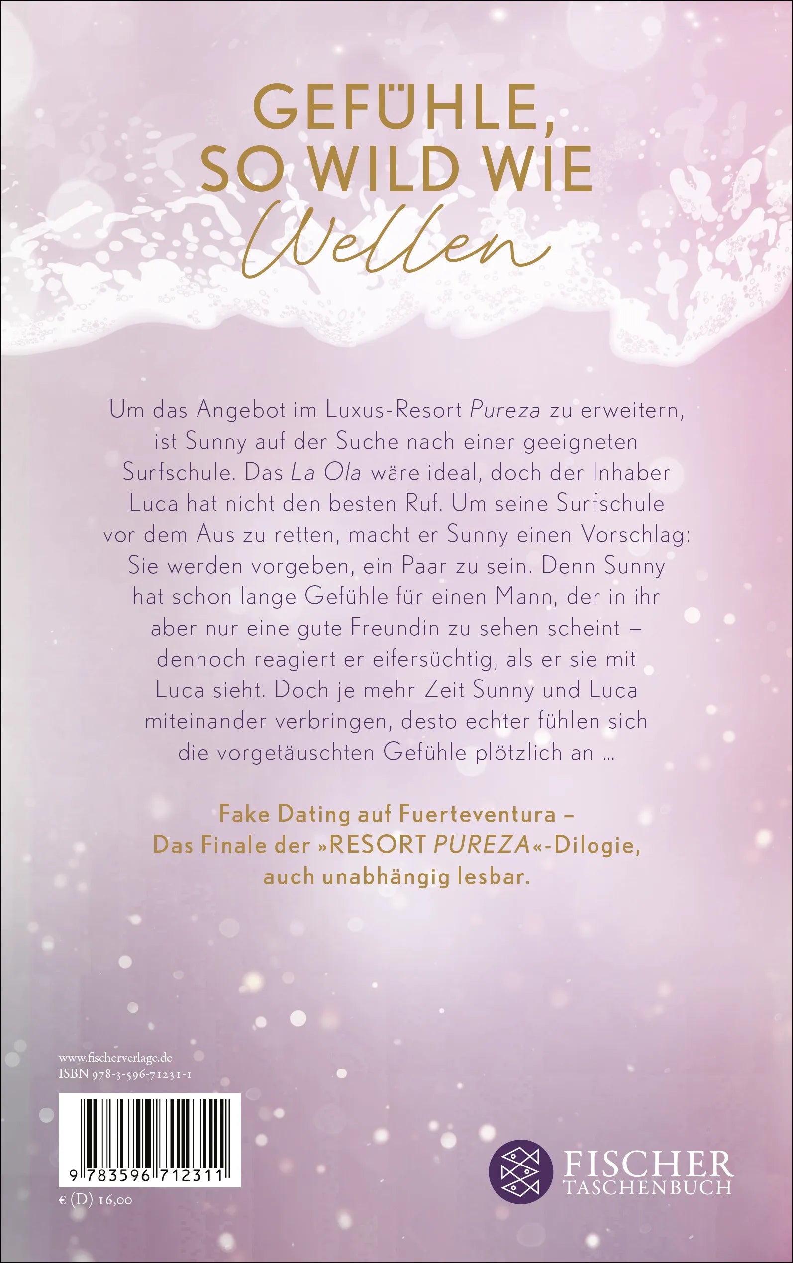 Buchrückseite von 'If You Stay Too Long' mit Klappentext - Paperback