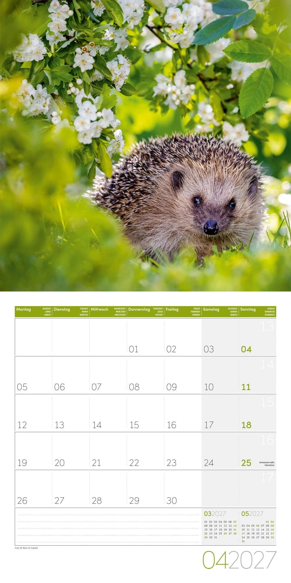 Igel Kalender 2027 - 30x30 - Art12 – Ansicht