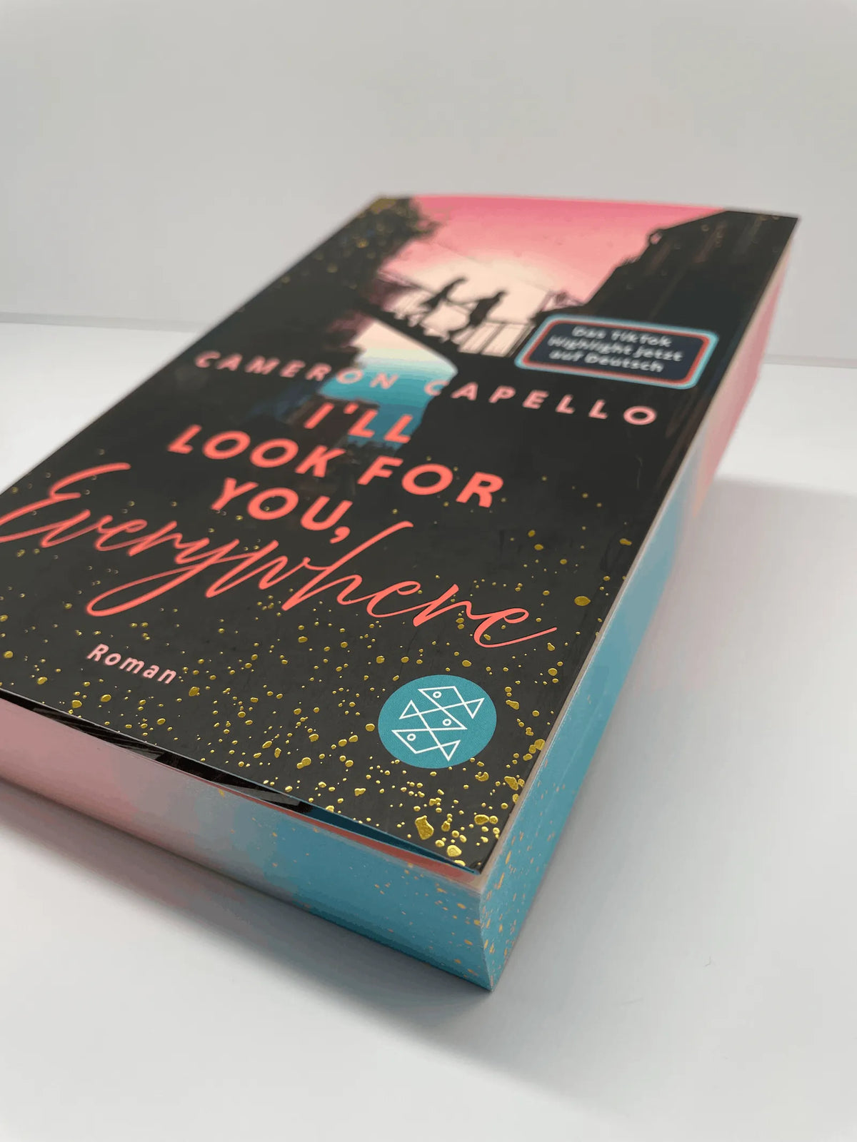Detailansicht: I'll look for you, Everywhere (Paperback)