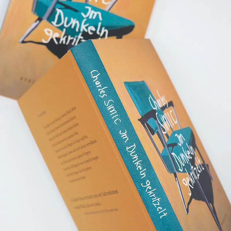 Produktansicht: Im Dunkeln gekritzelt (Gebundene Ausgabe)