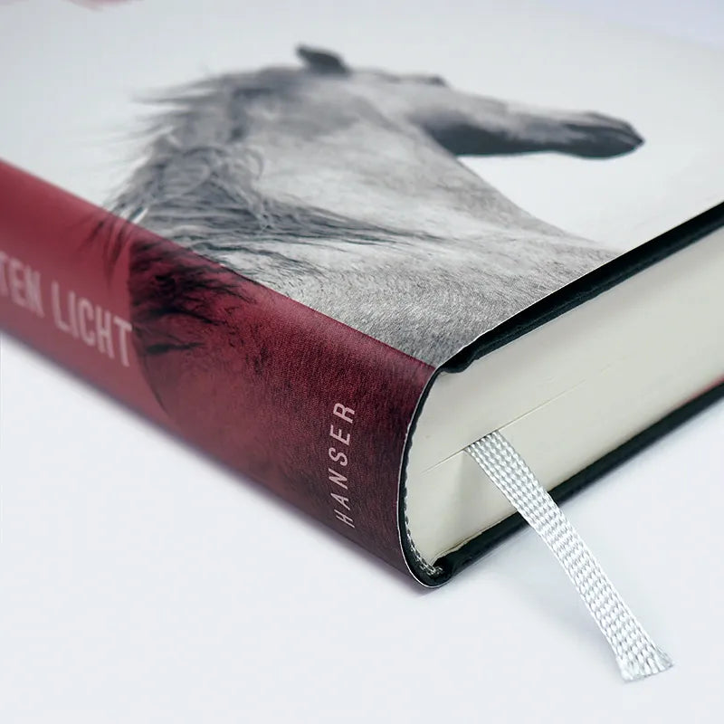 Norbert Gstrein - Im ersten Licht