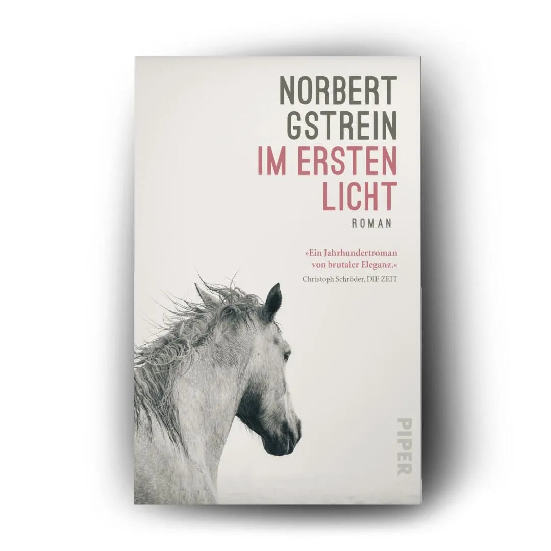 Detailansicht: Im ersten Licht (Taschenbuch)