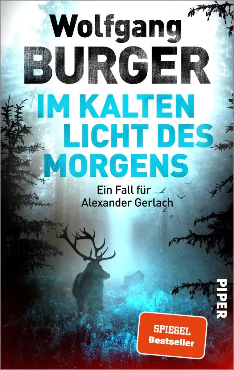 Cover: Im kalten Licht des Morgens (E-Book) von Wolfgang Burger