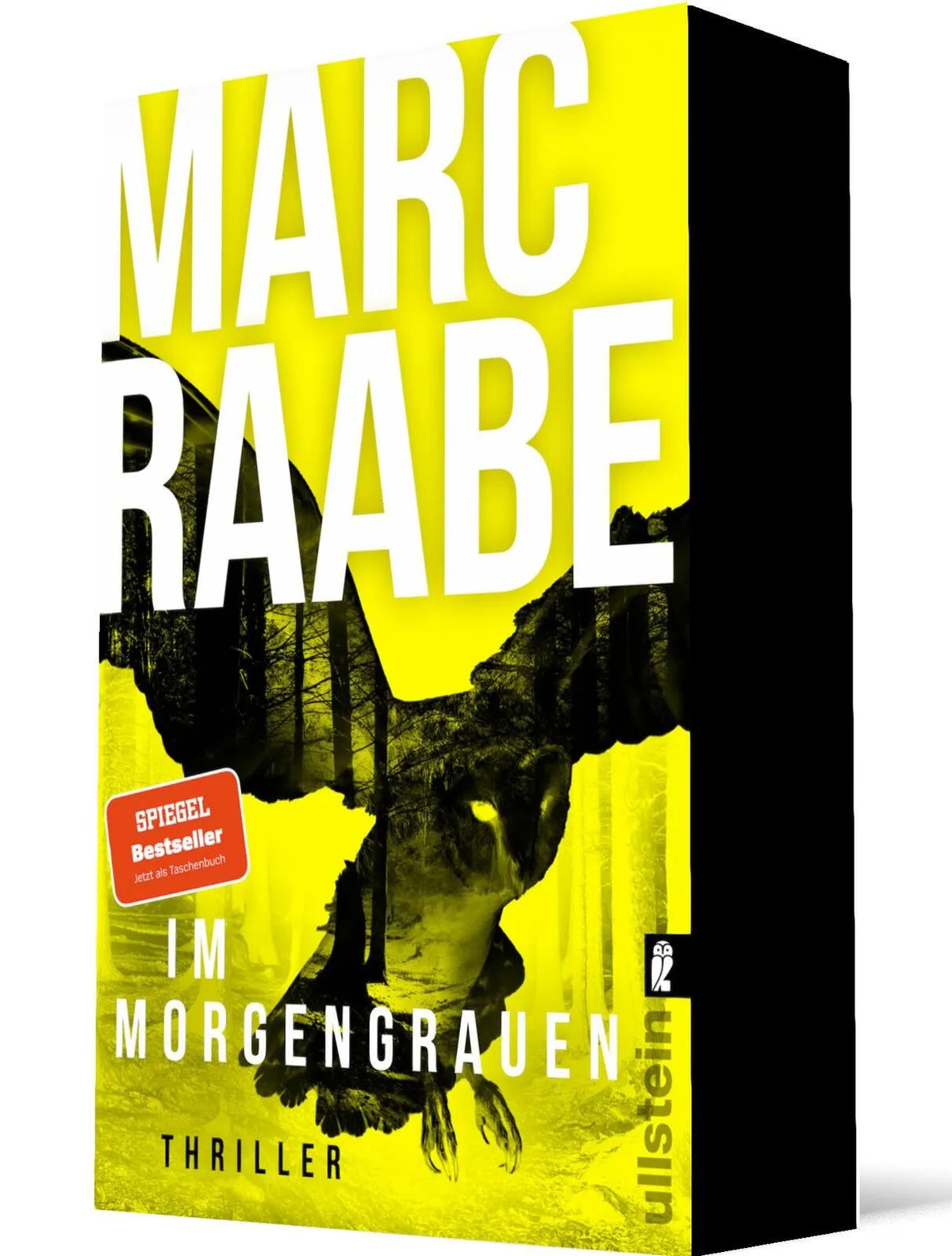Cover: Im Morgengrauen (Taschenbuch) von Marc Raabe