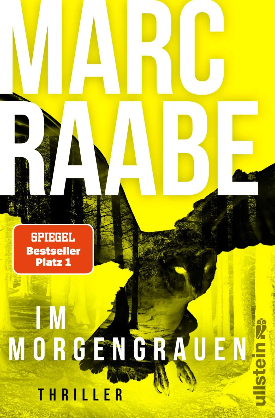 Cover: Im Morgengrauen (Paperback) von Marc Raabe