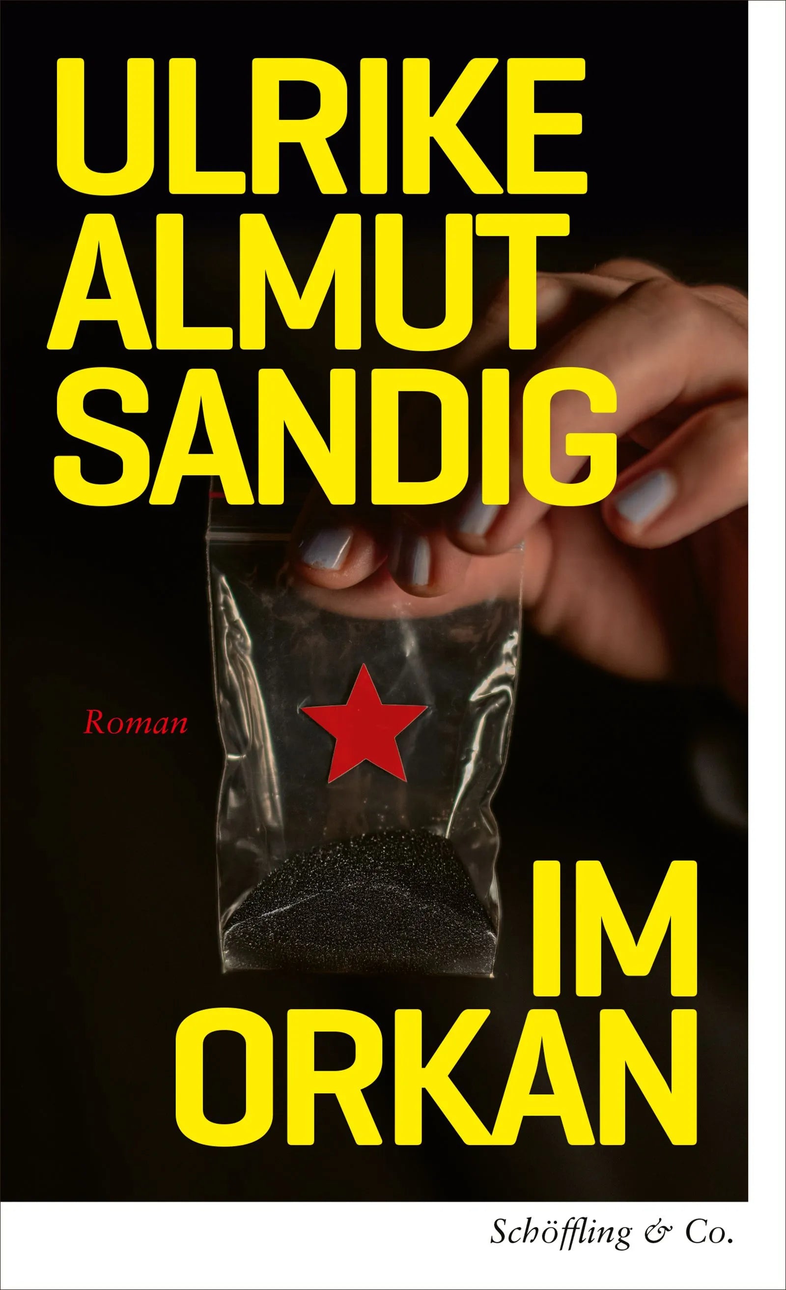 Cover: Im Orkan (E-Book) von Ulrike Almut Sandig
